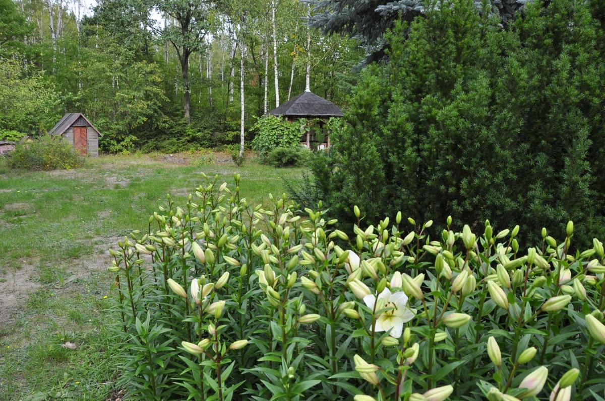 Photo 46