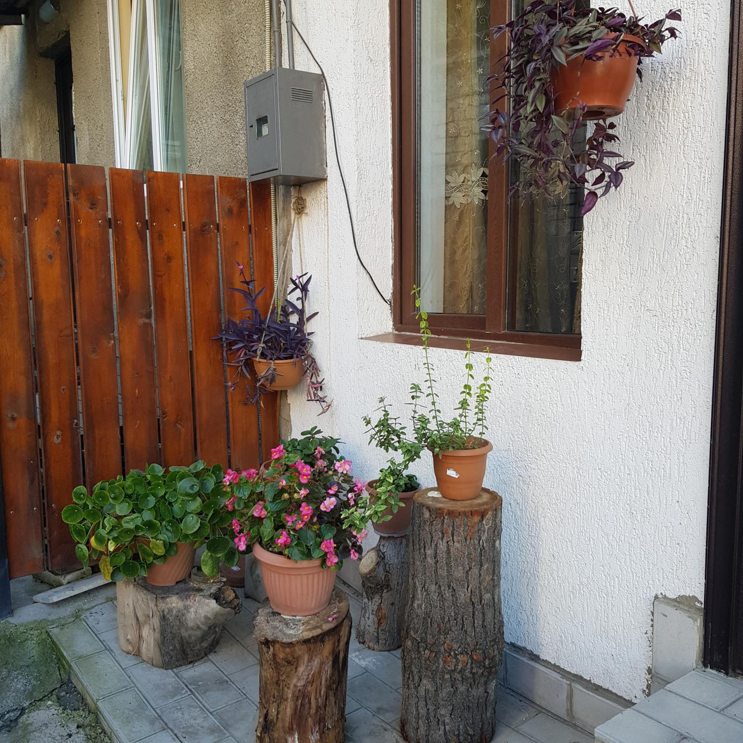 Photo 28