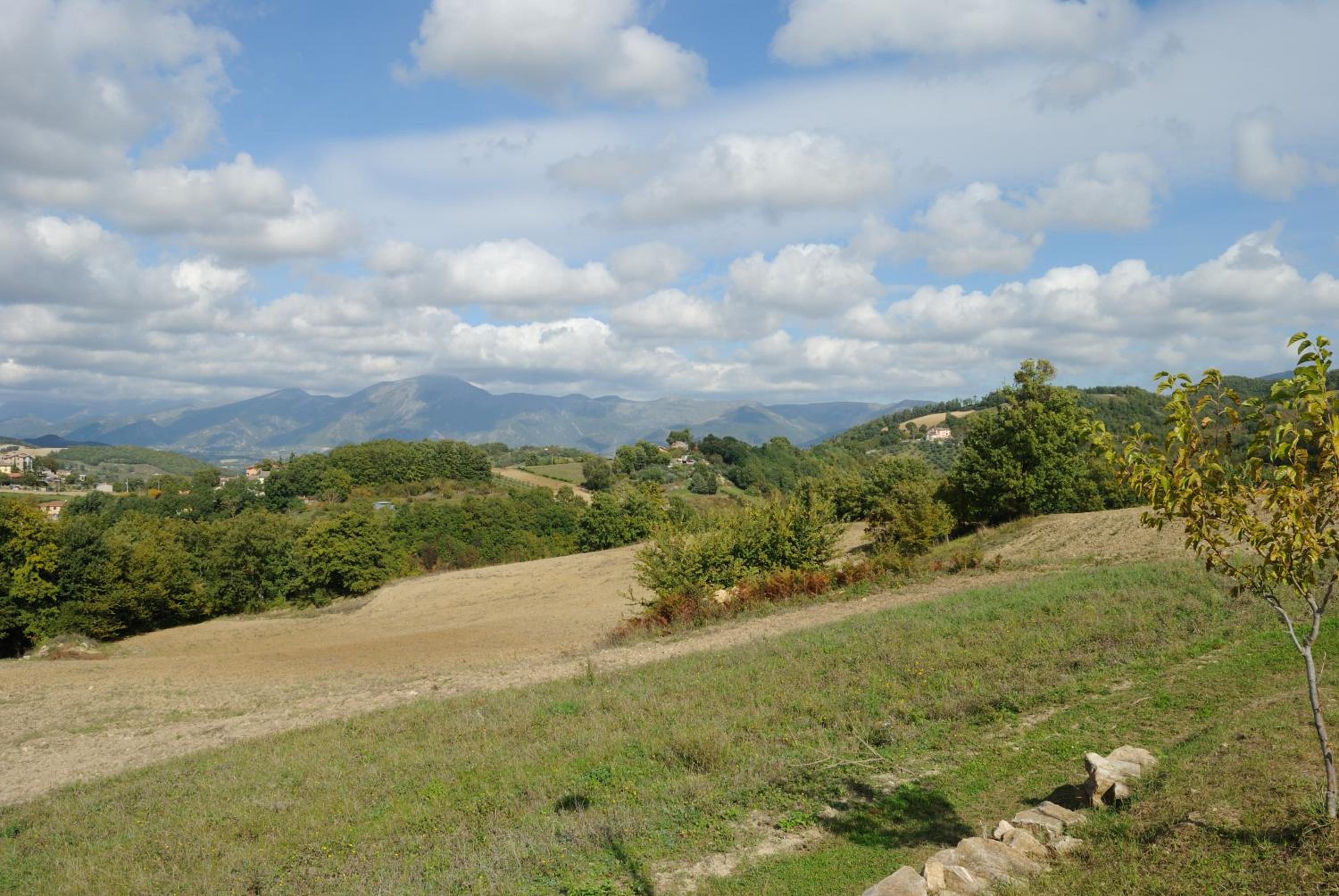 Photo 52