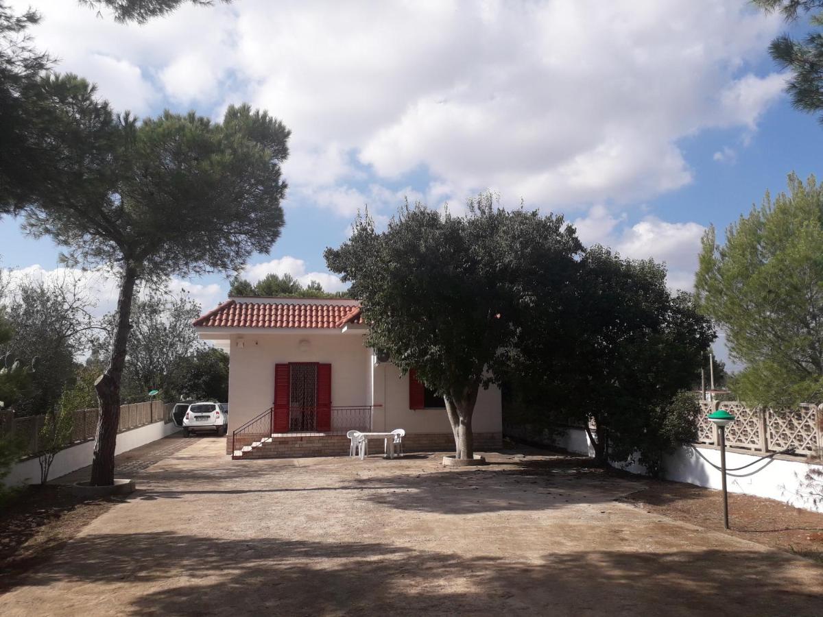 Casa vacanza "Lo Vita" Appartamento "Alessia" Galatina view 3