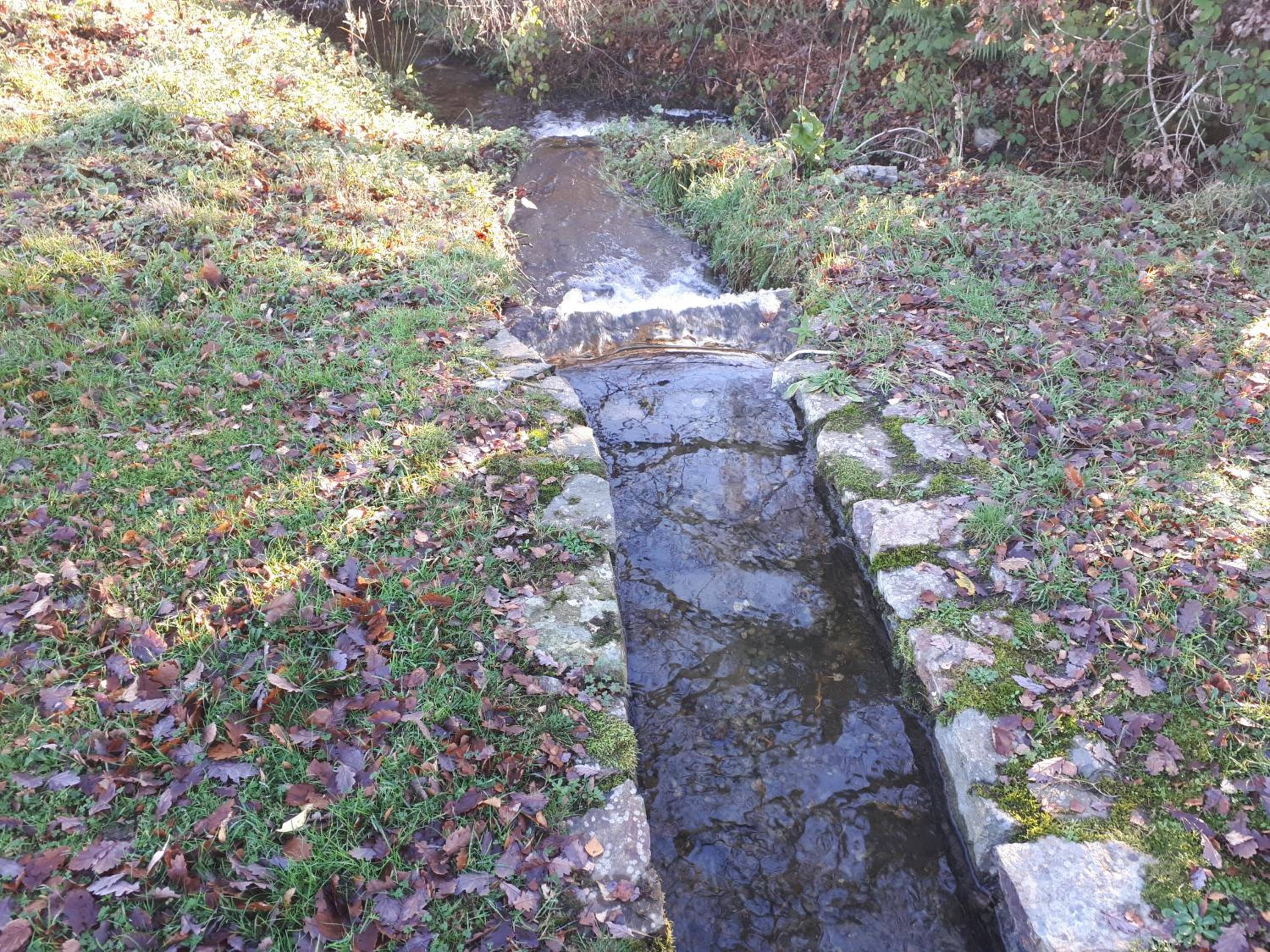 Photo 27