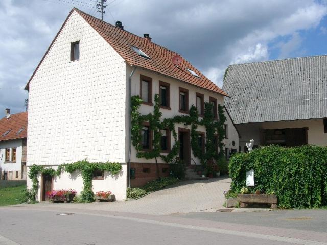 Photo 39