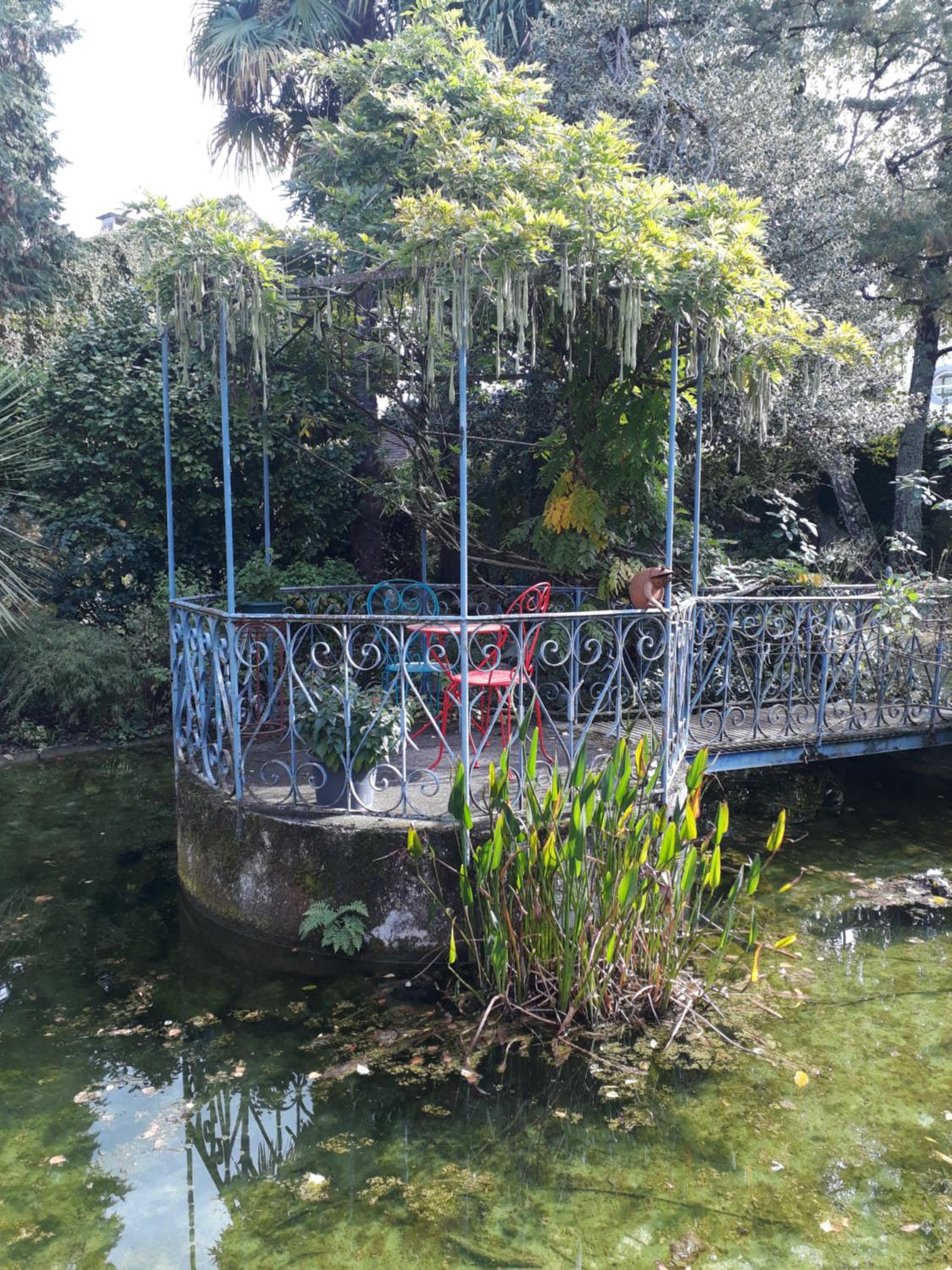 Photo 12
