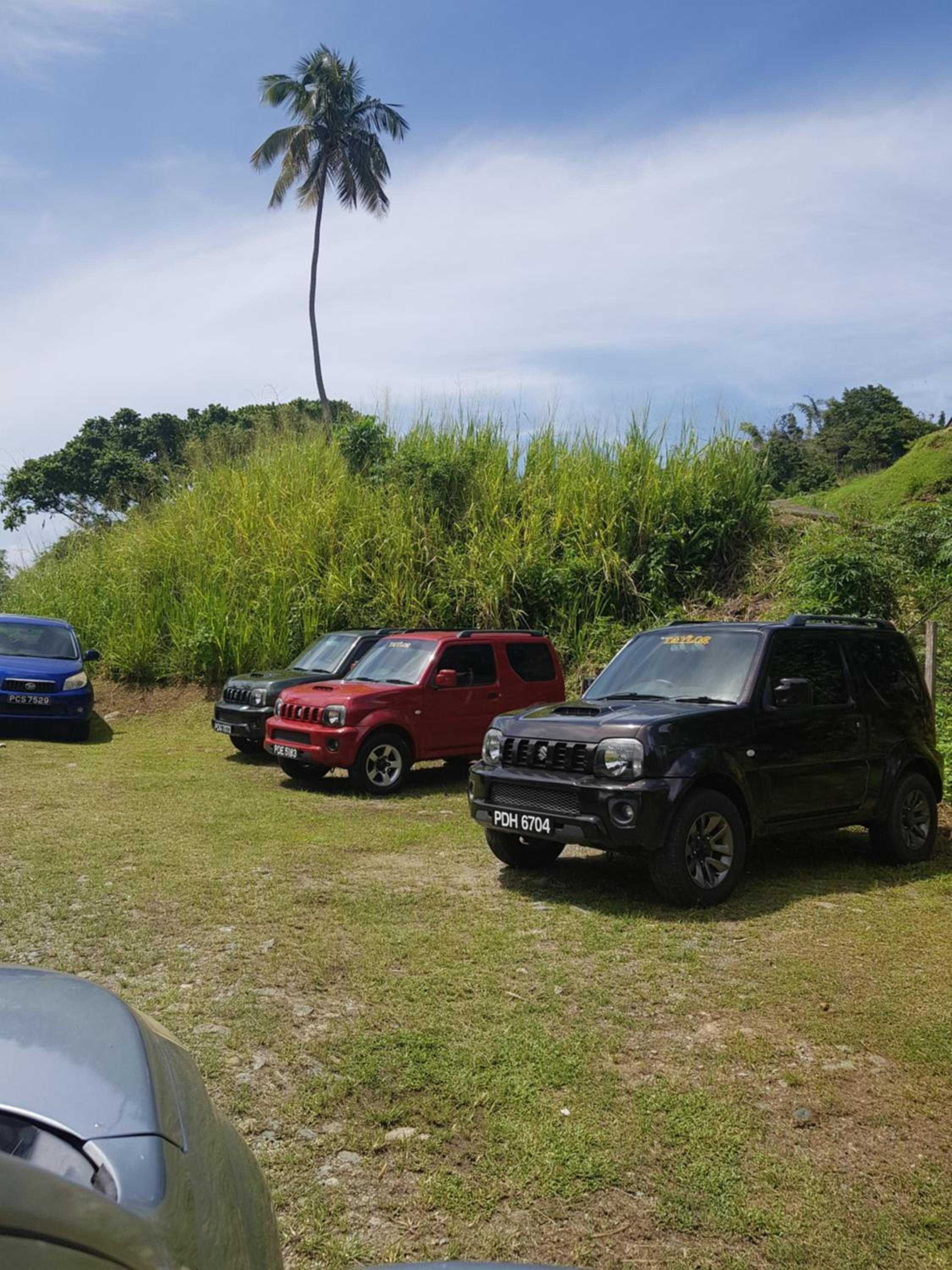 Cottage Mango view 4