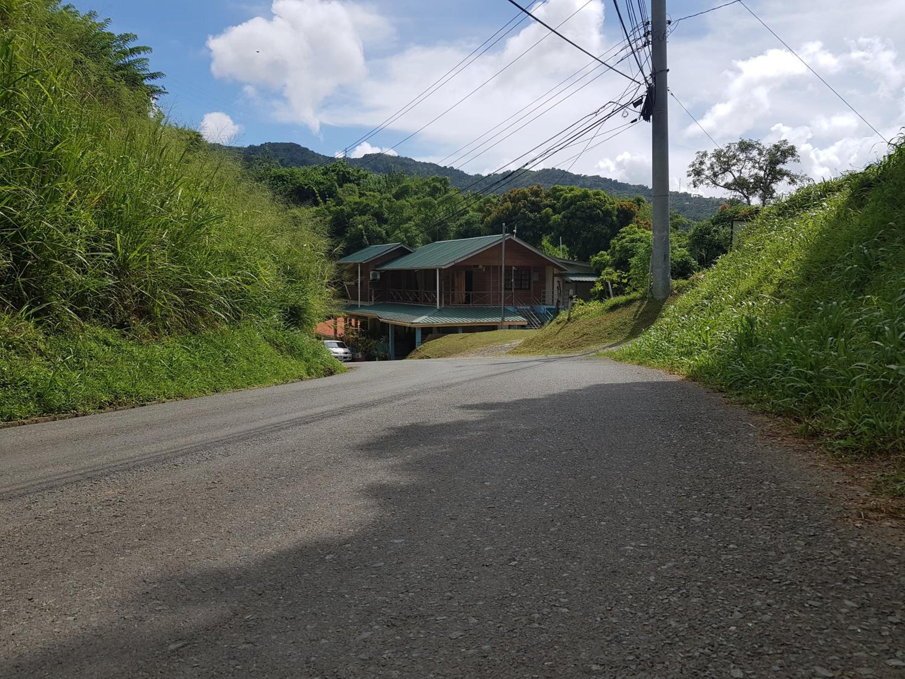 Cottage Mango view 5