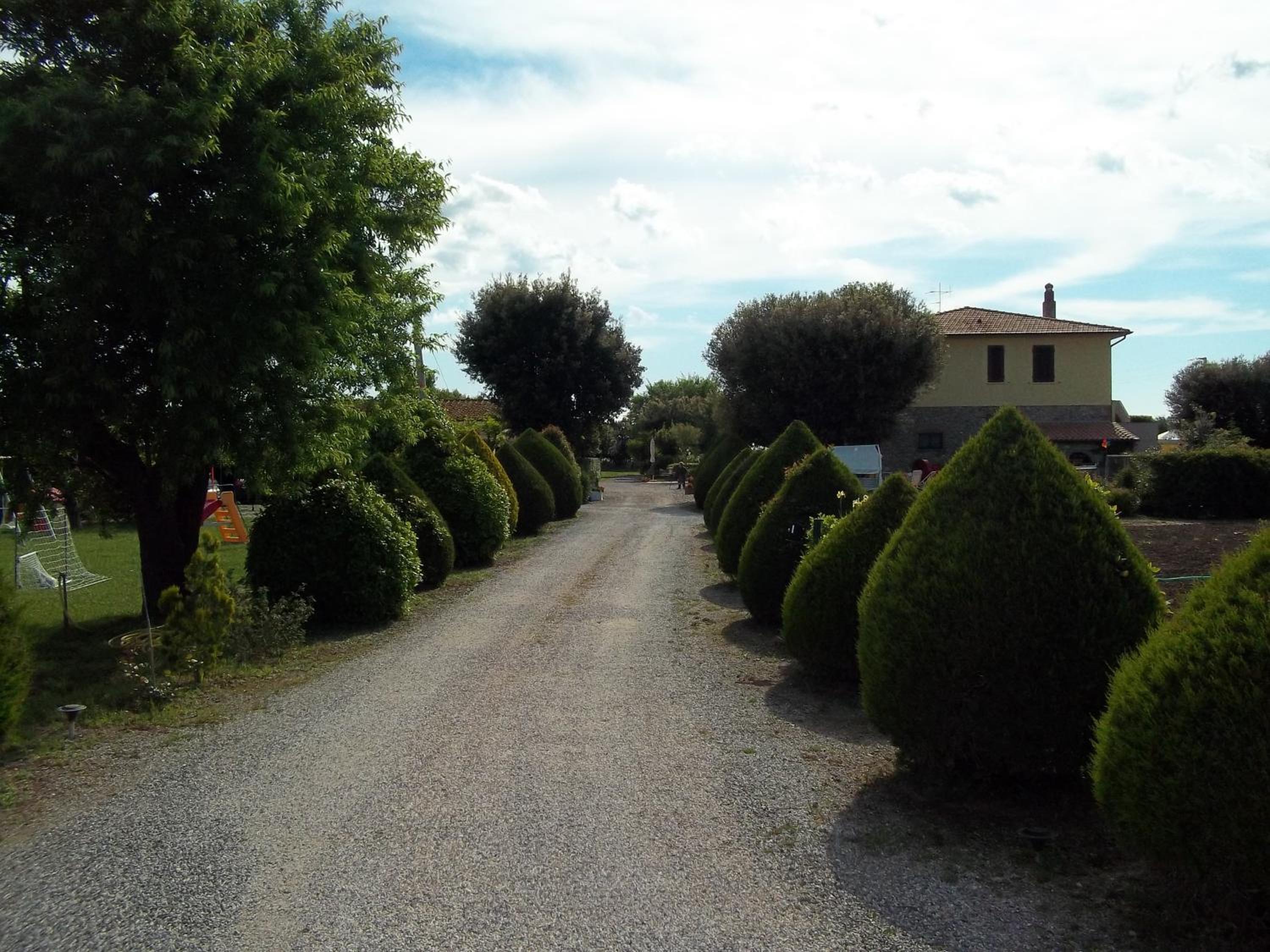 Photo 36