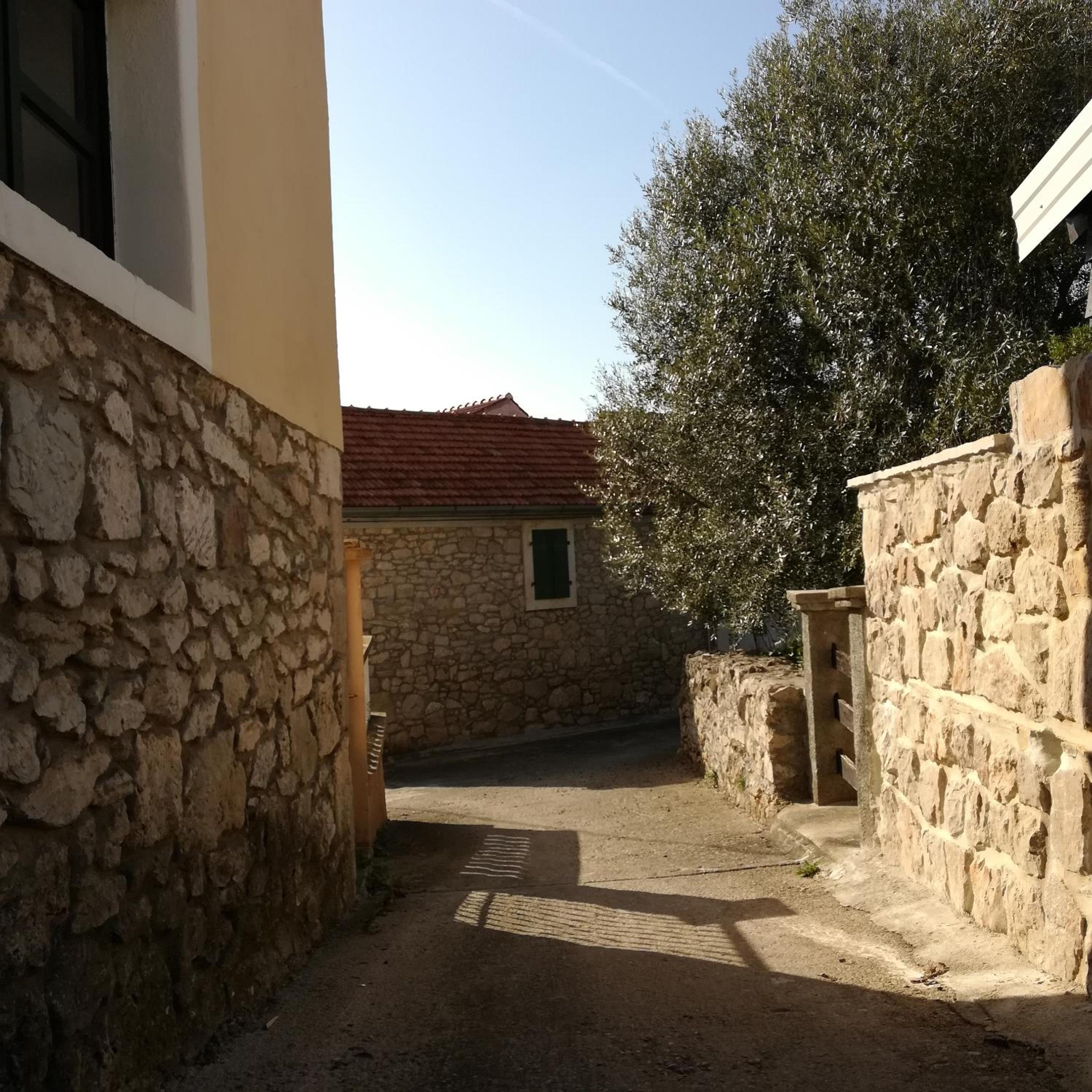 Photo 42