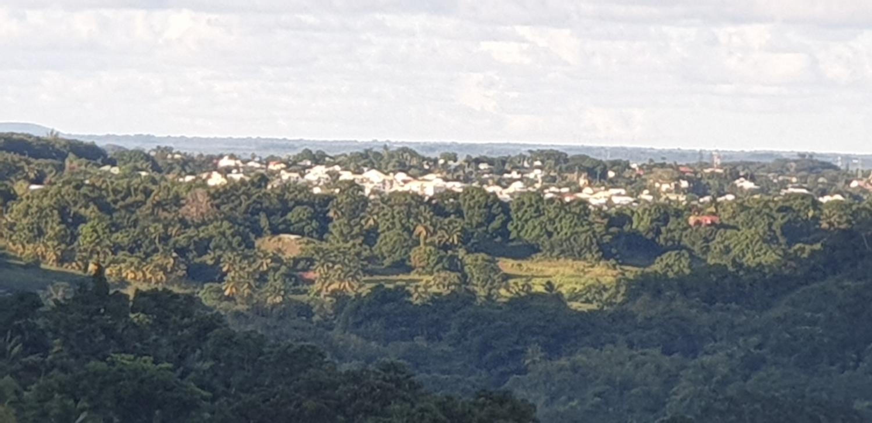 Soleil levant view 4