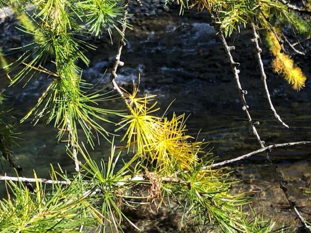 Photo 52