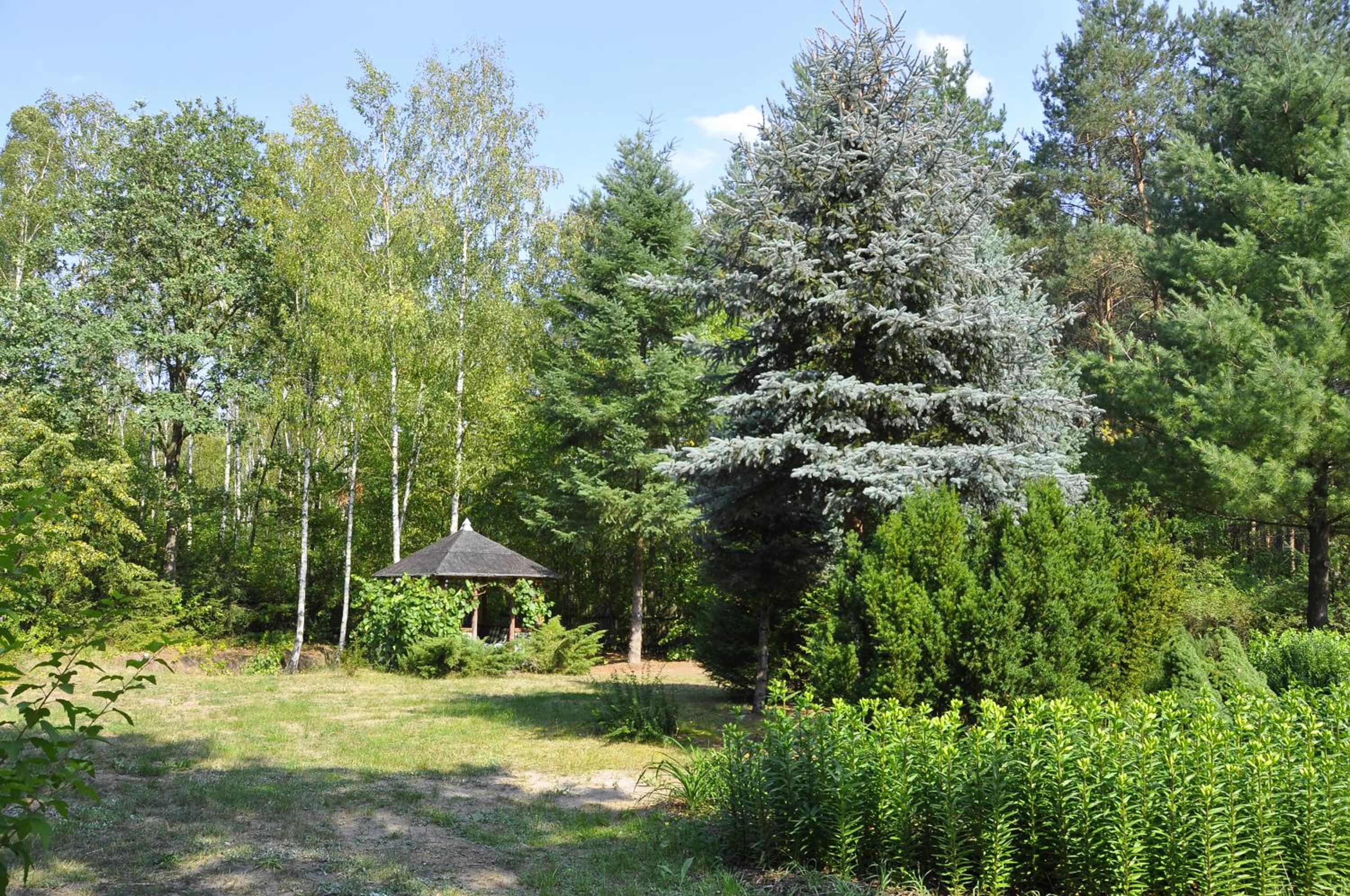Photo 49
