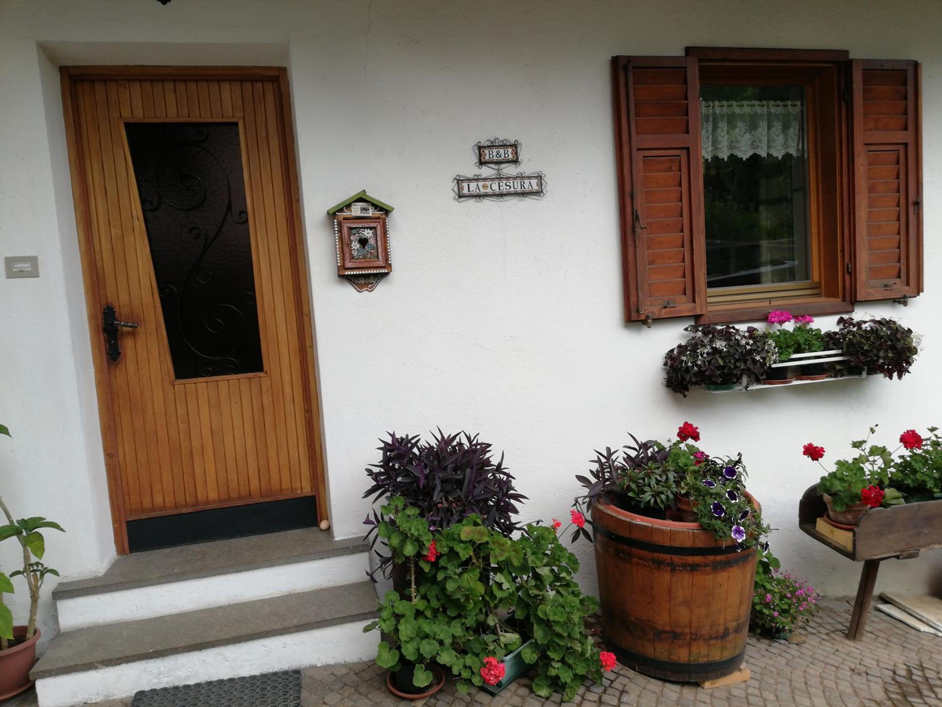 Photo 6