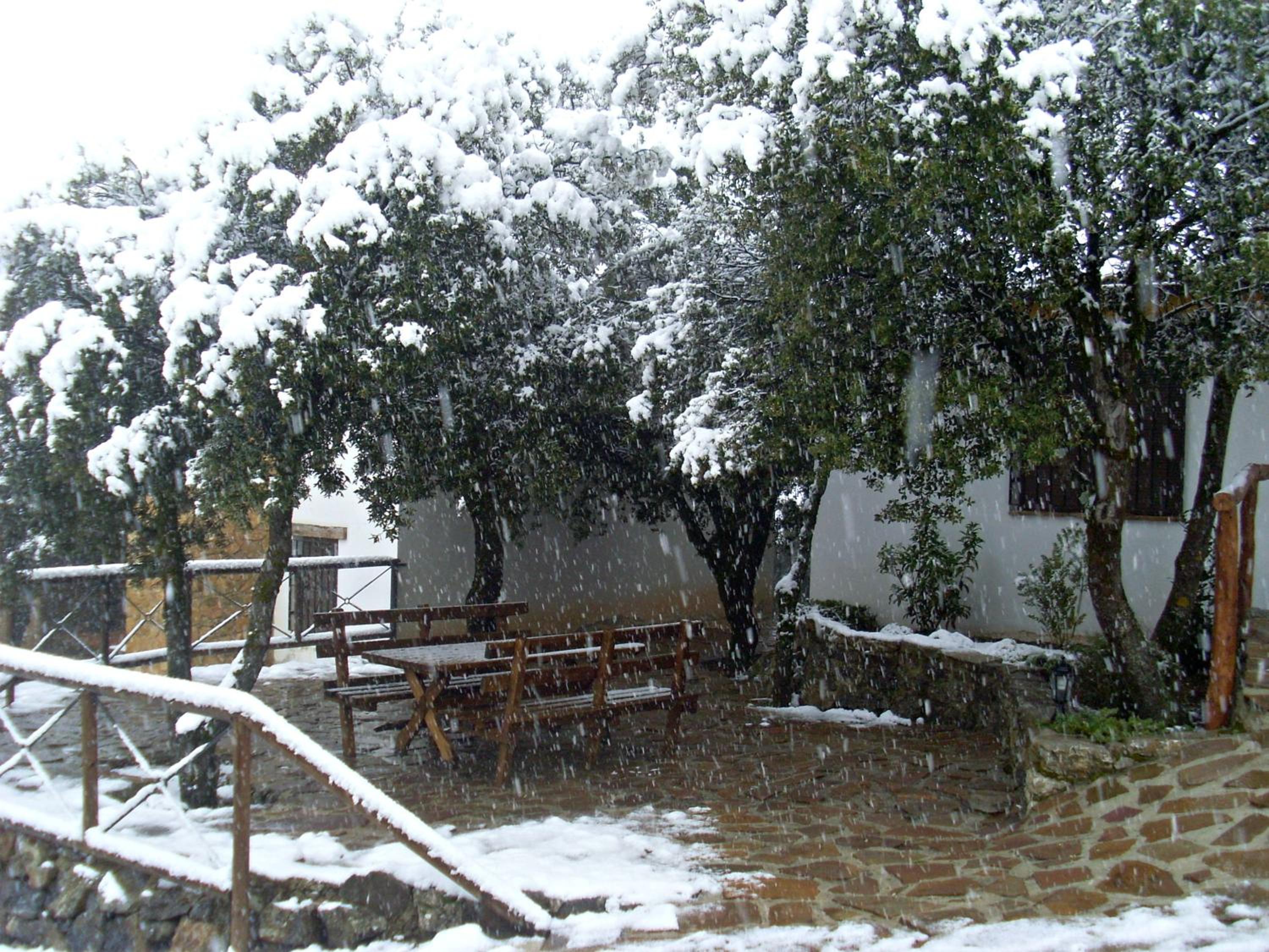Photo 47