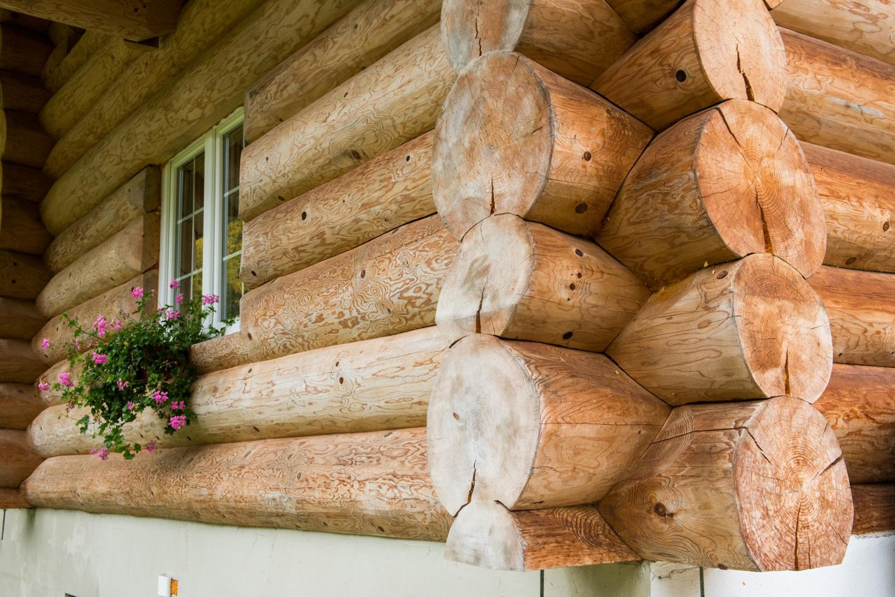 Chalet le Dorf