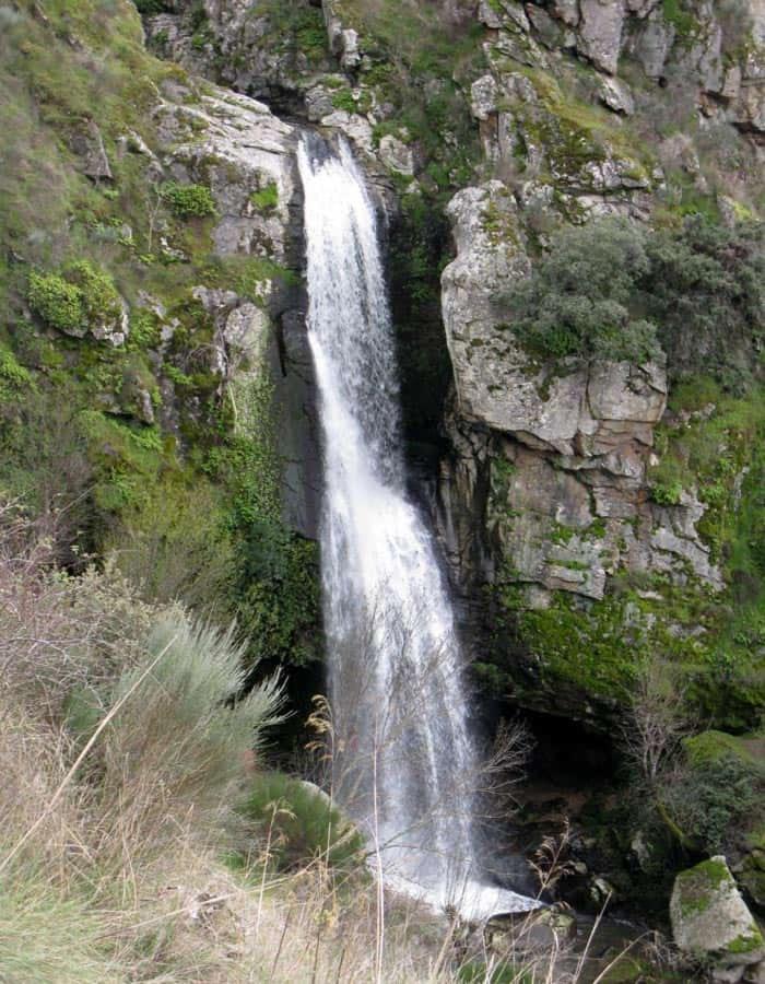 Photo 48