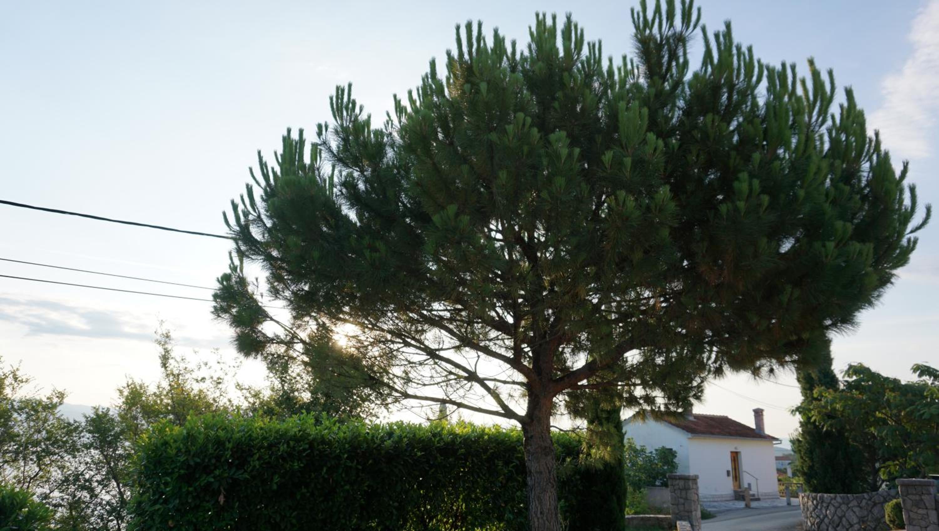 Villa Mirela