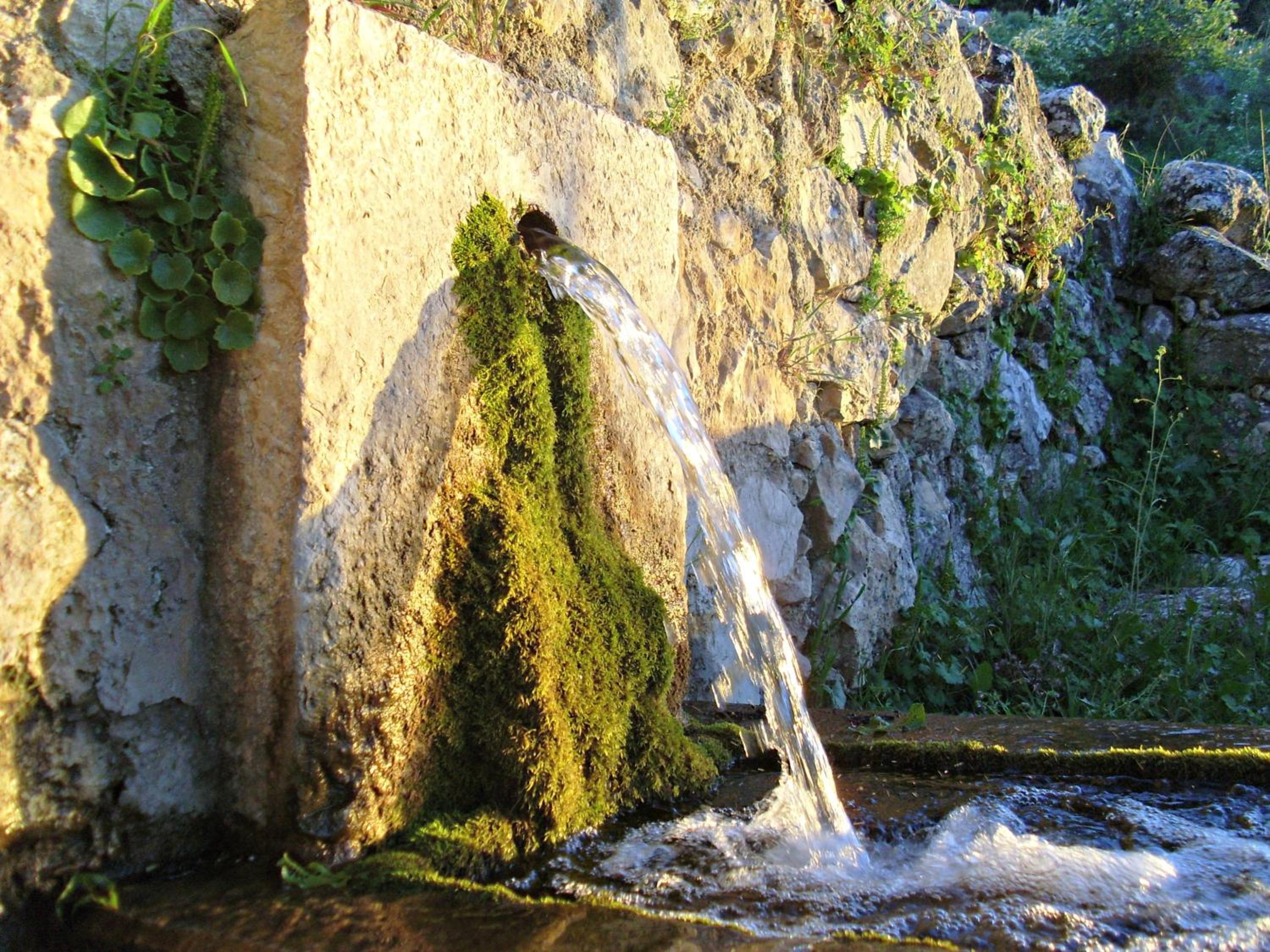 Photo 48