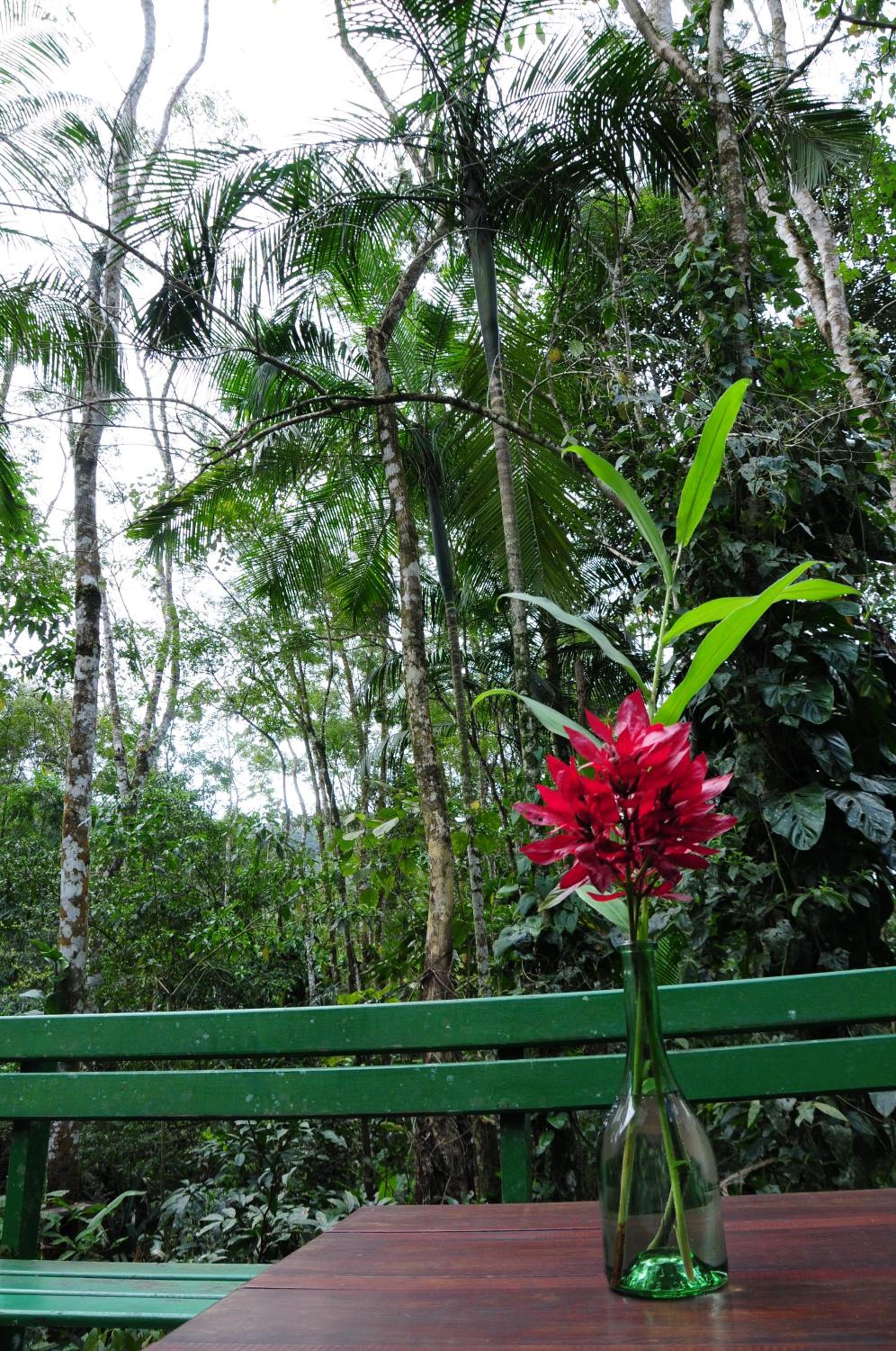 The Cottage at Sitio Namaste
