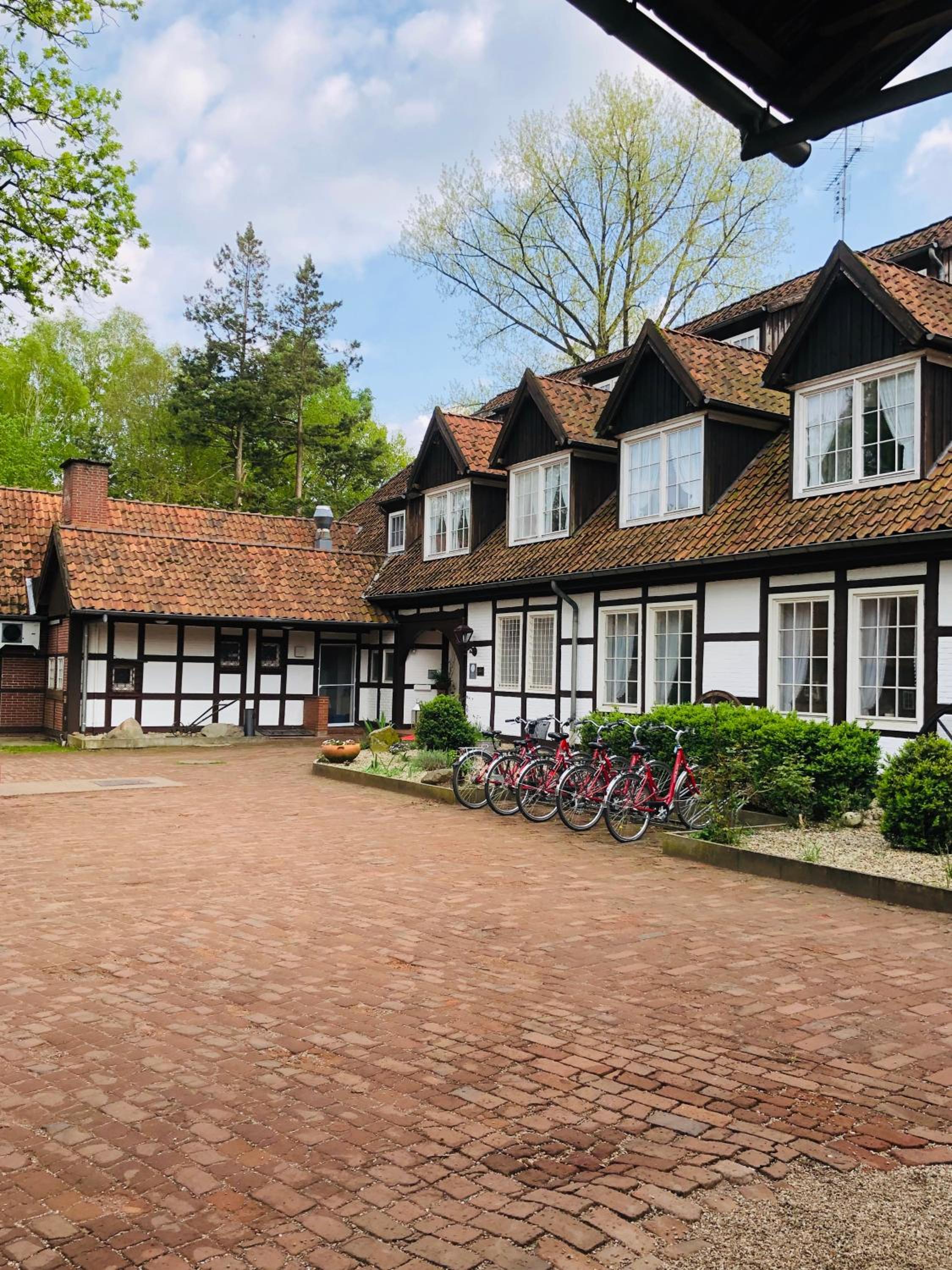 Landhotel Gutshof im Oertzetal in Oldendorf, Sudheide - Property Image 64