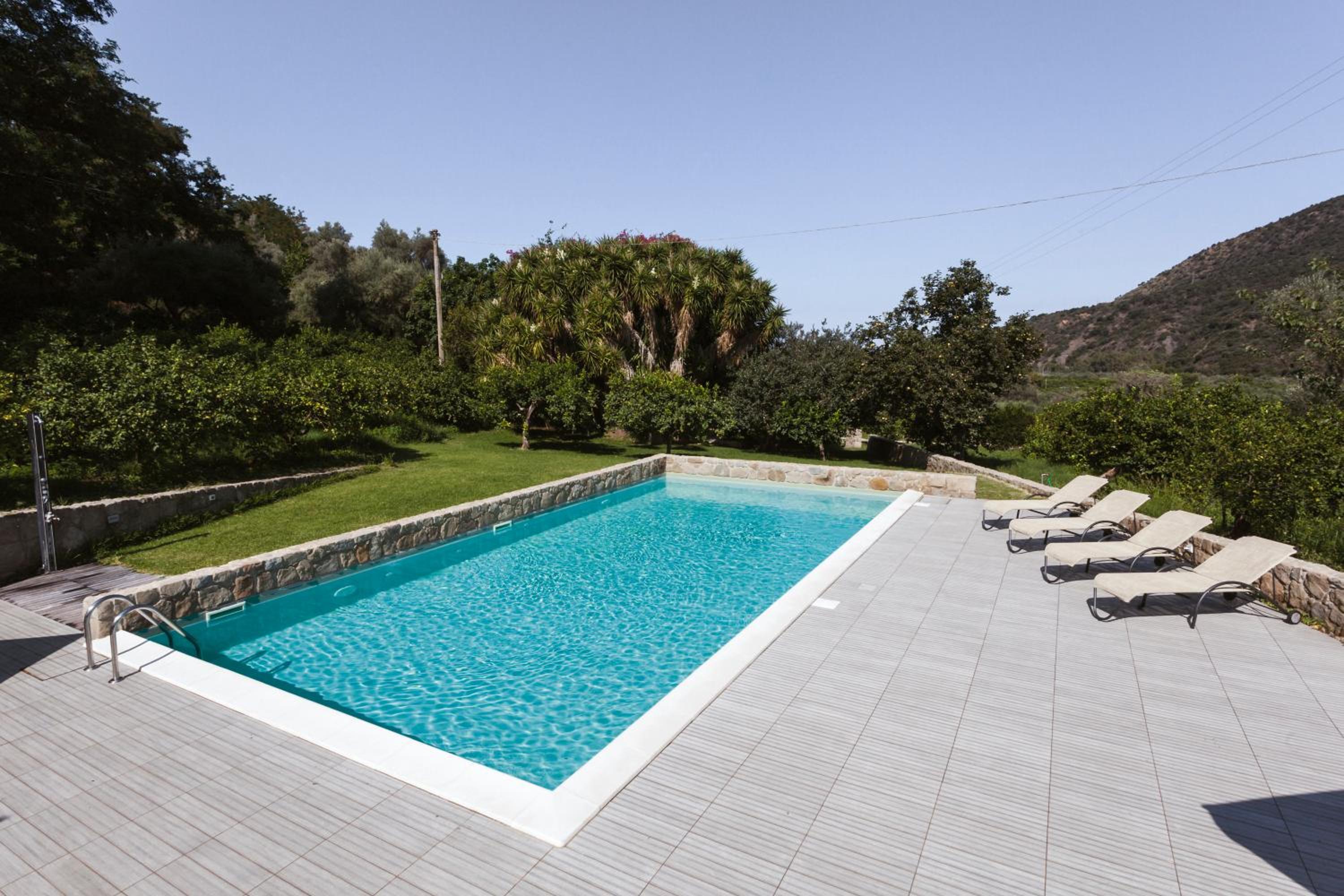 Photo 29