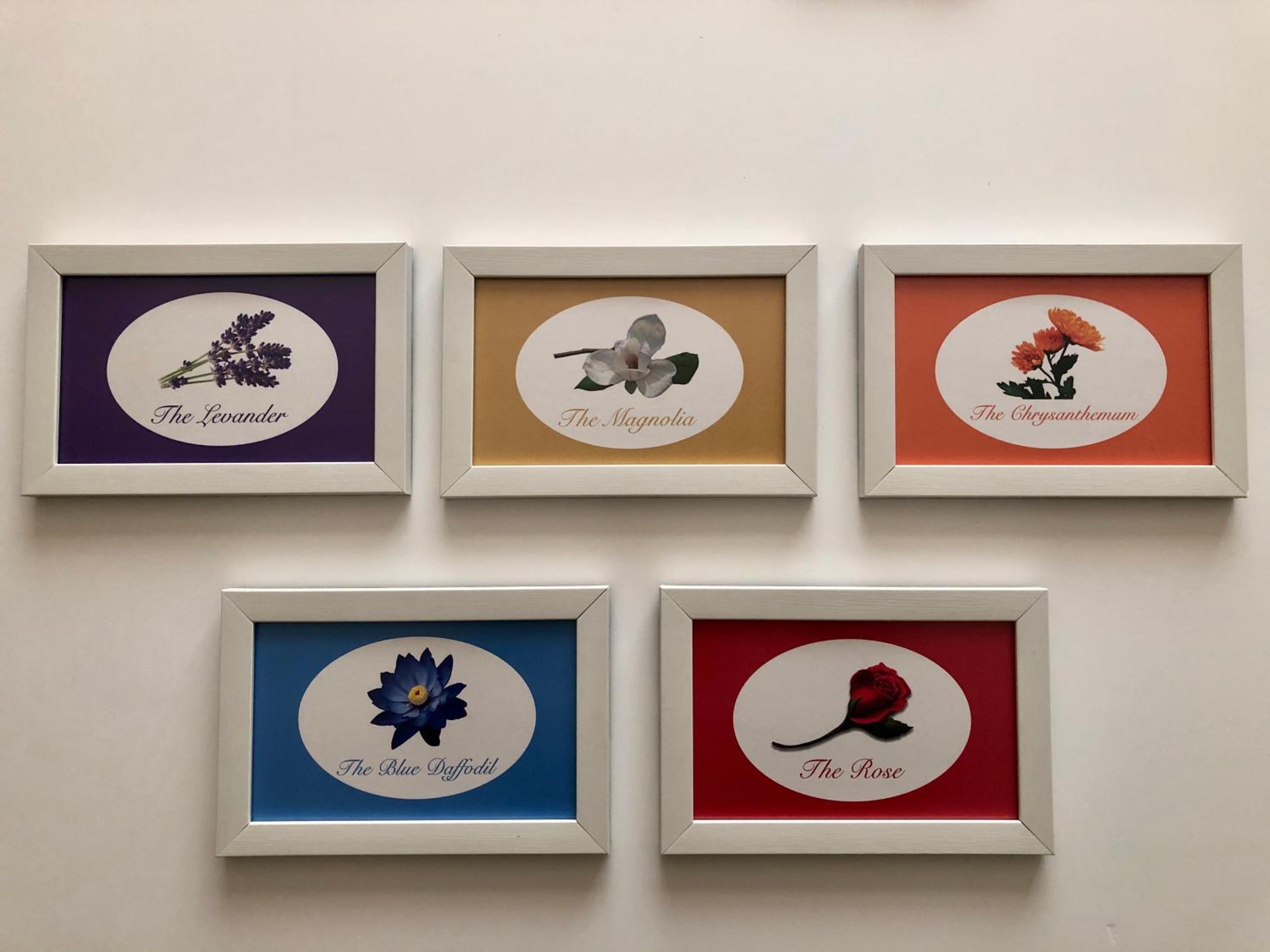 Mehmet Bey Süitleri - Image 39