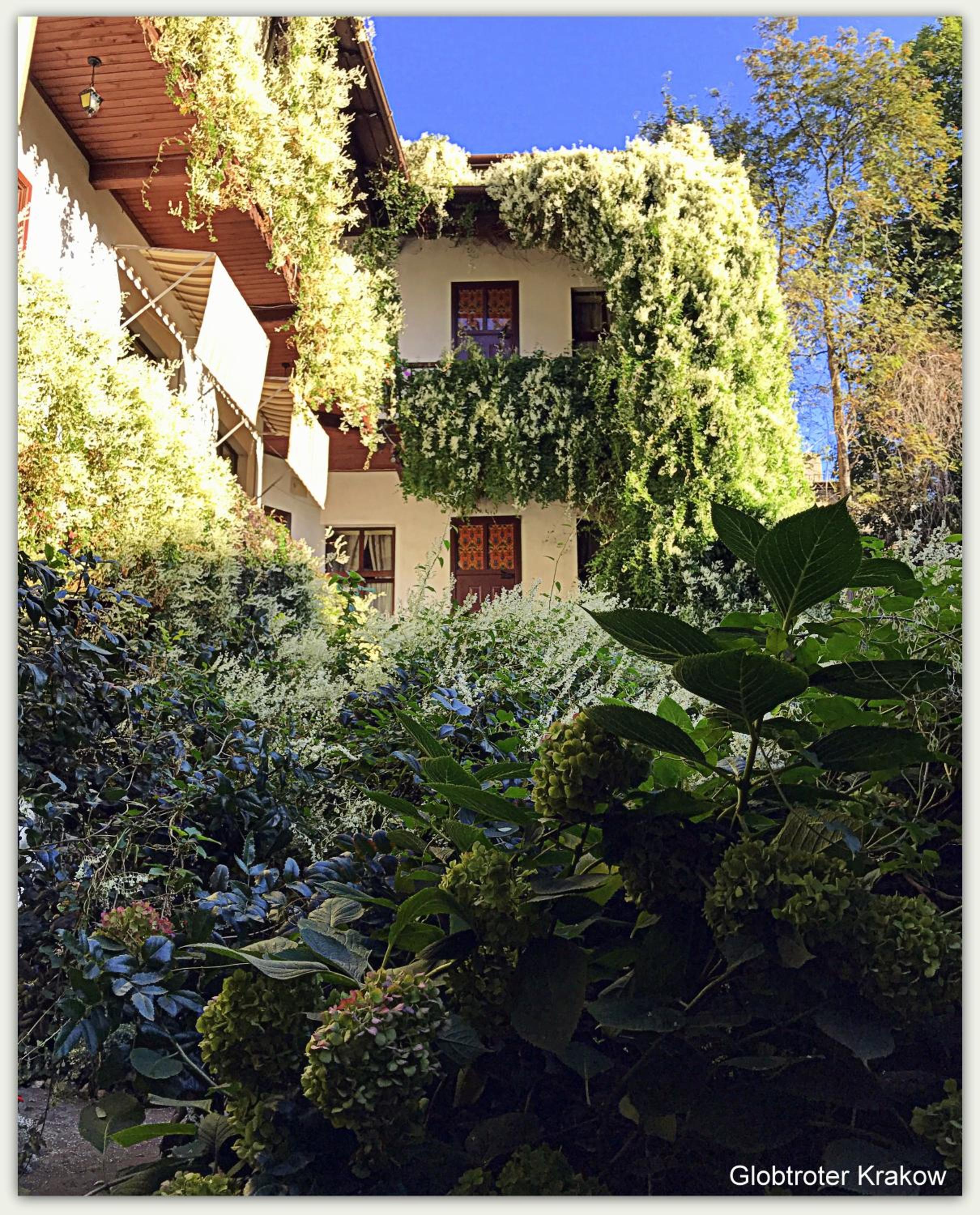 Photo 25
