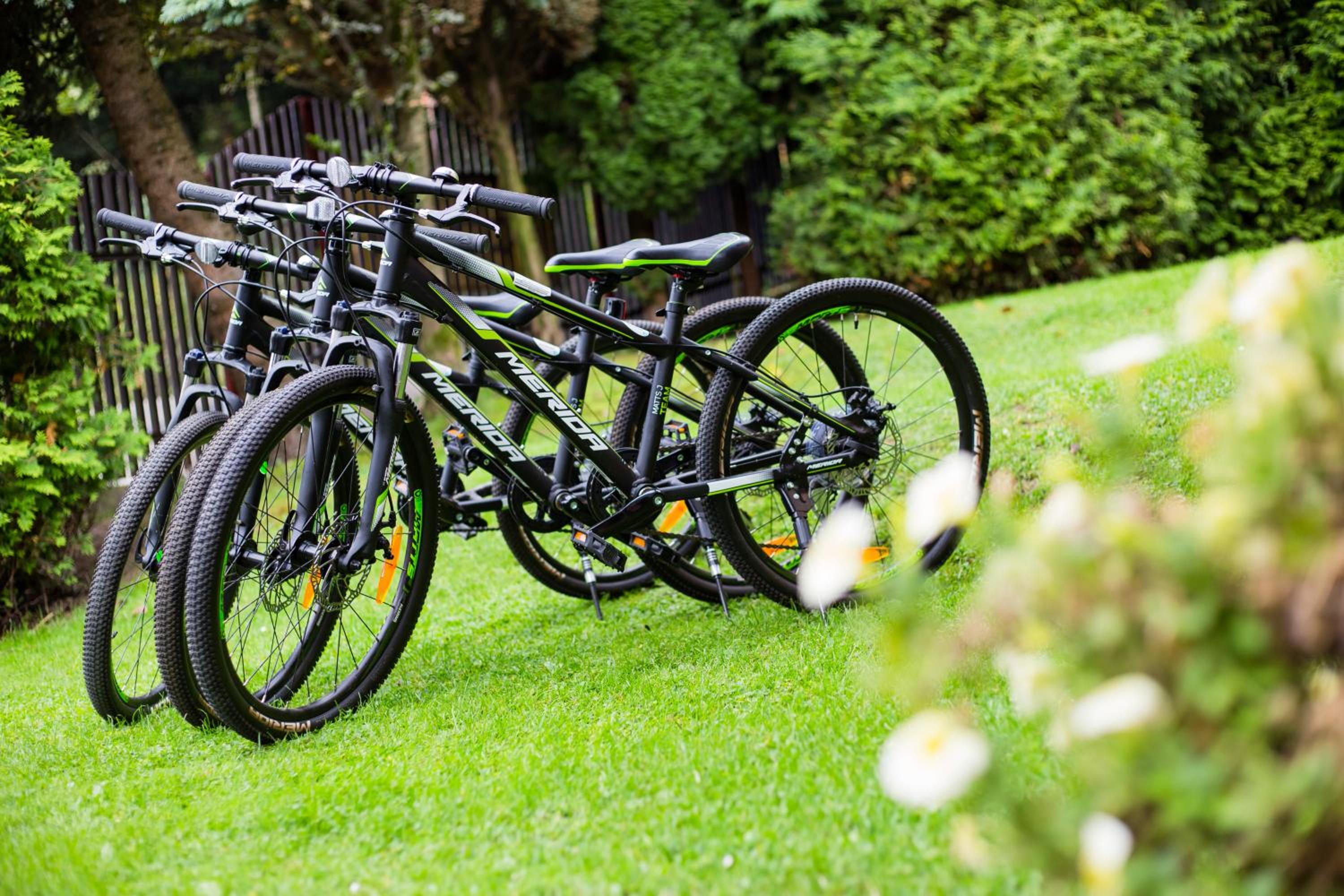 RowerowyFun, photo 25