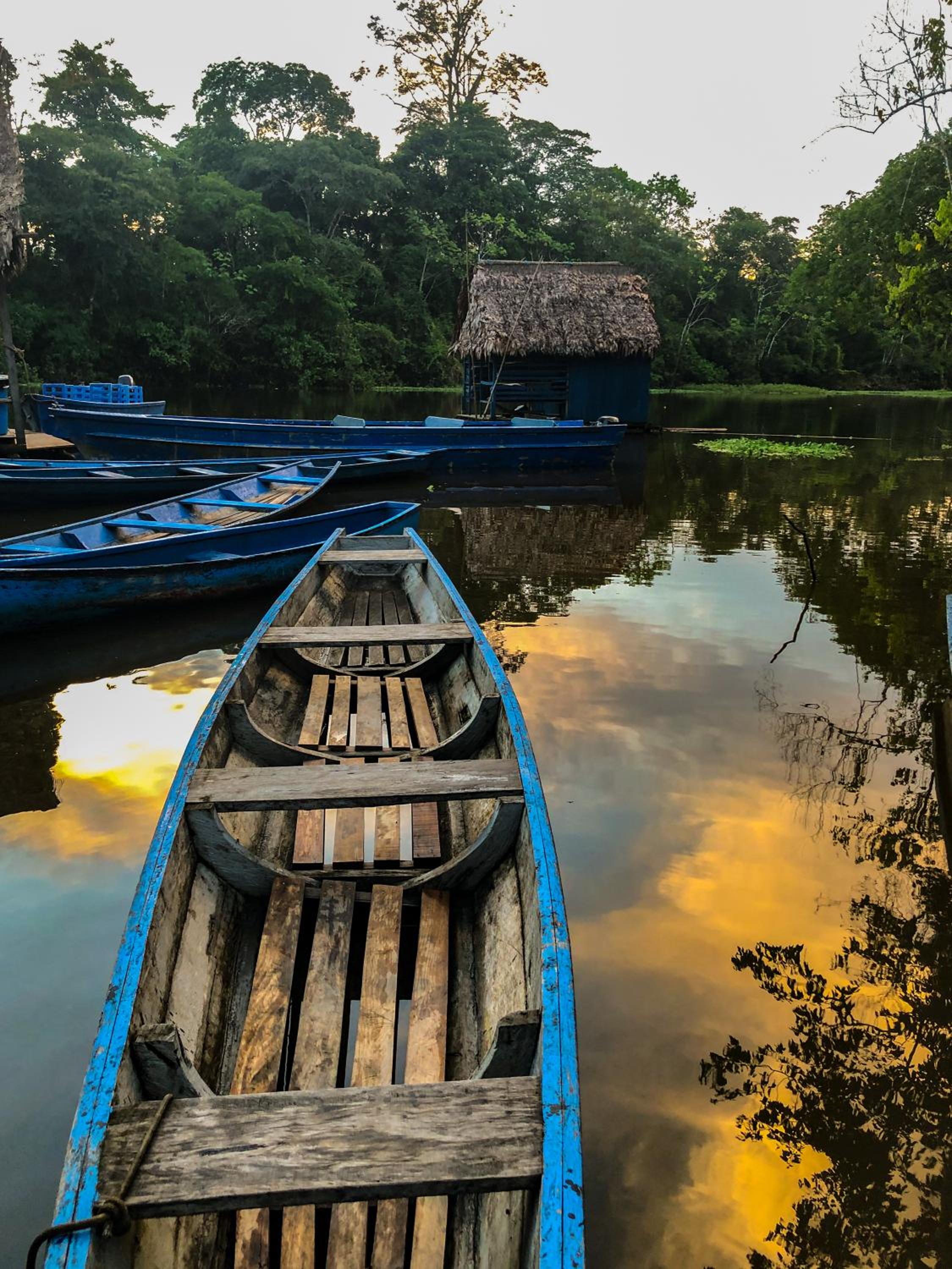 Amazon Muyuna Lodge - All Inclusive
