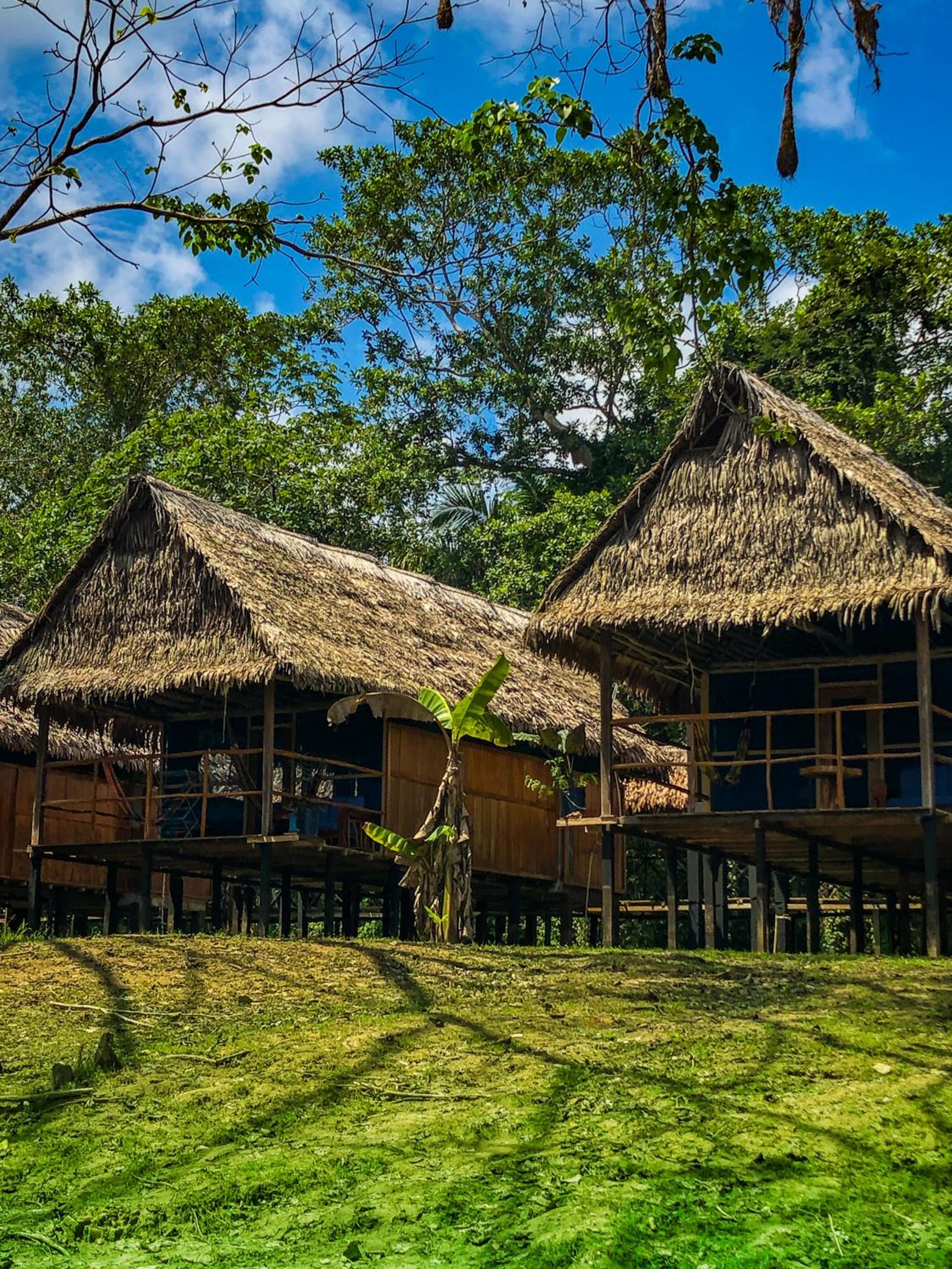 Amazon Muyuna Lodge - All Inclusive