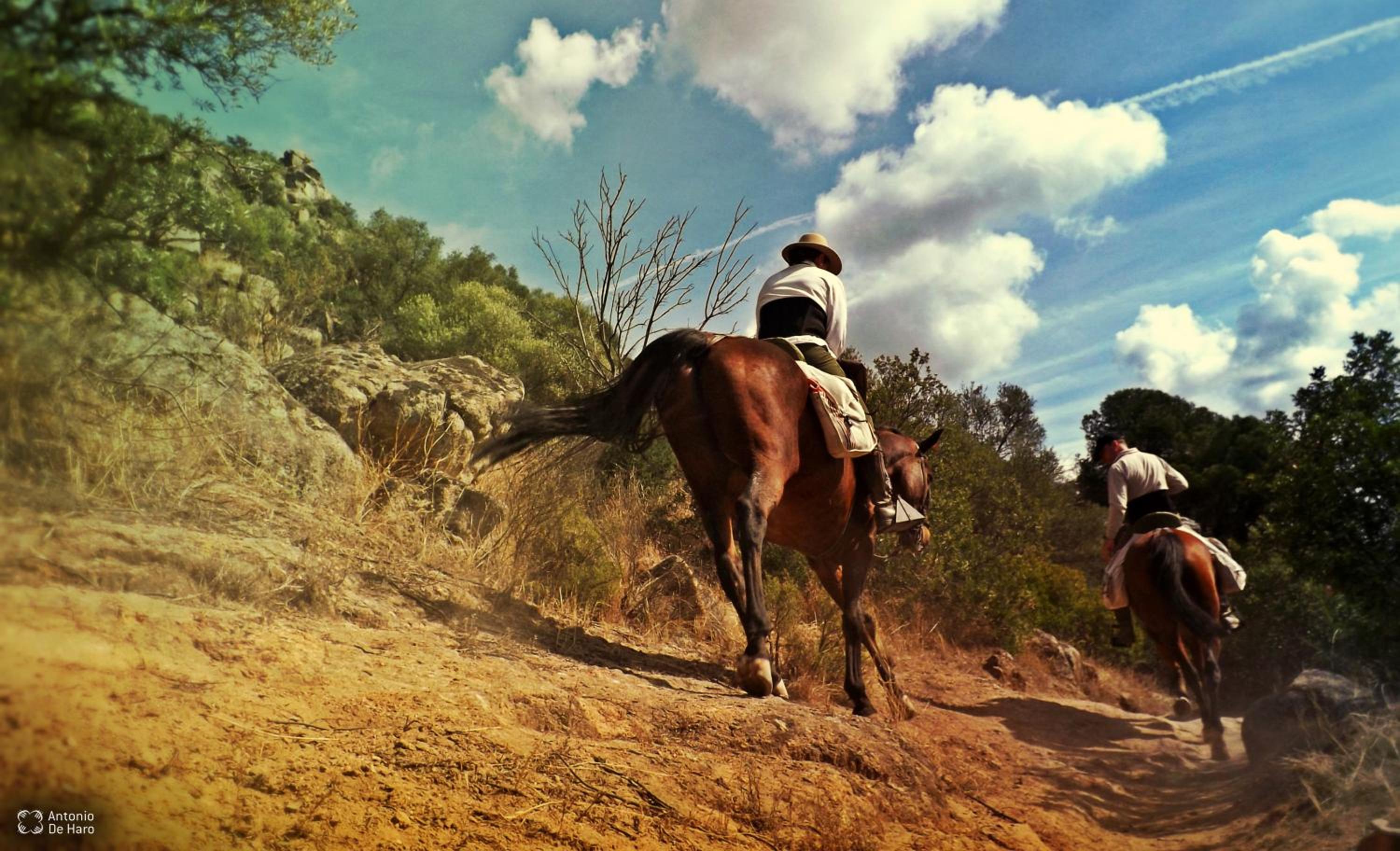 Photo 45
