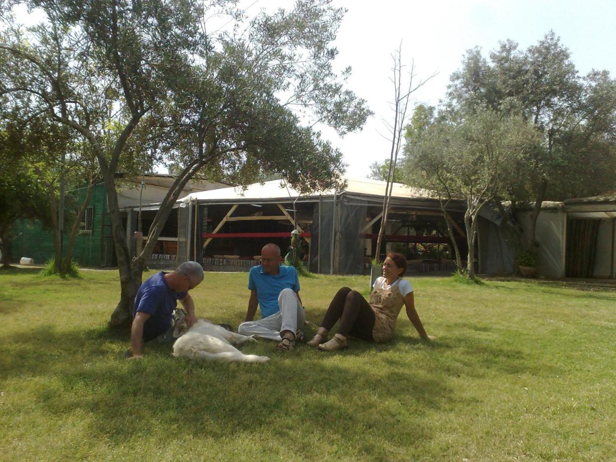 Photo 45