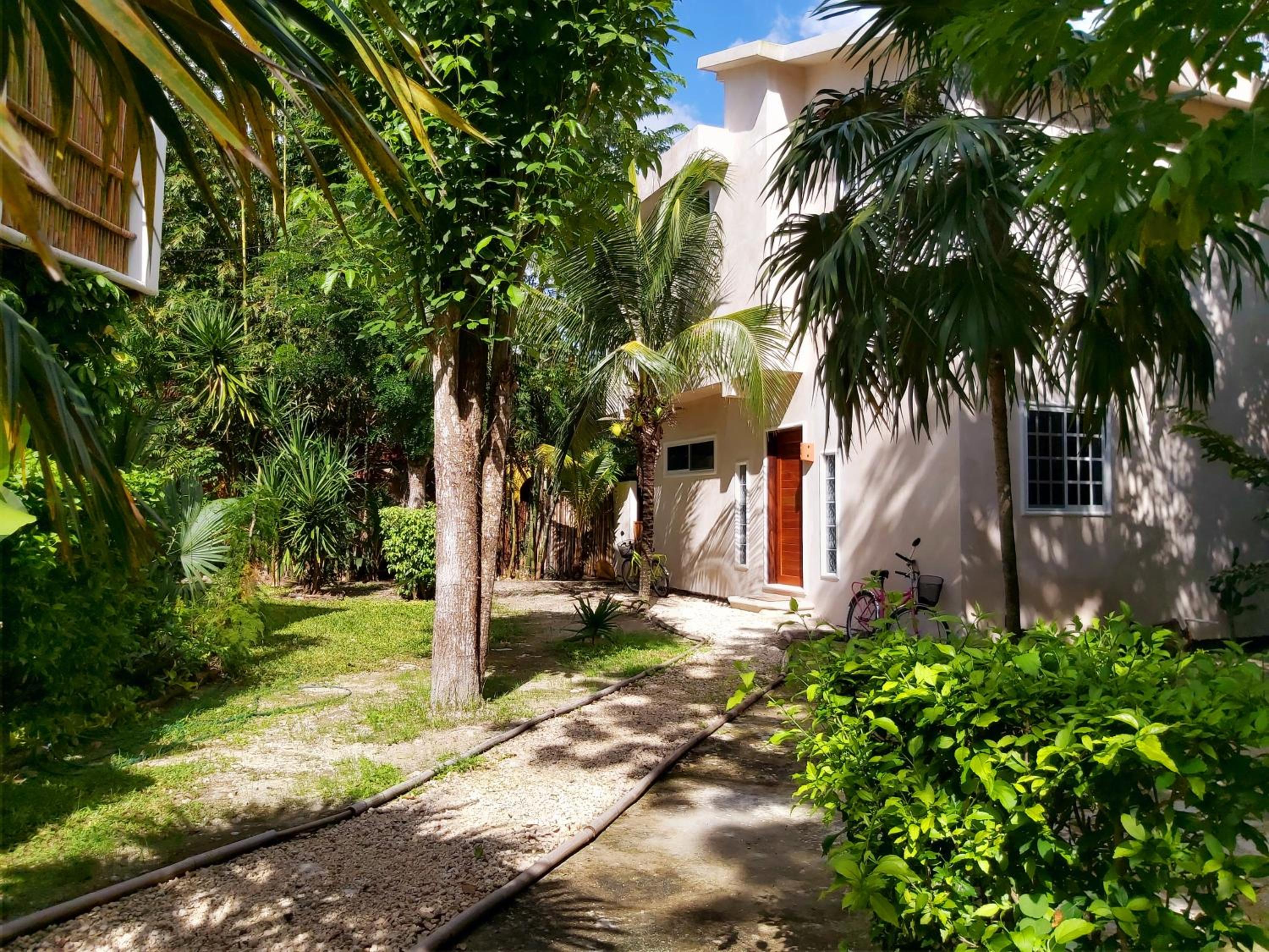 MINI PINI BIRD WATCHING AND CENOTE Loft view 2
