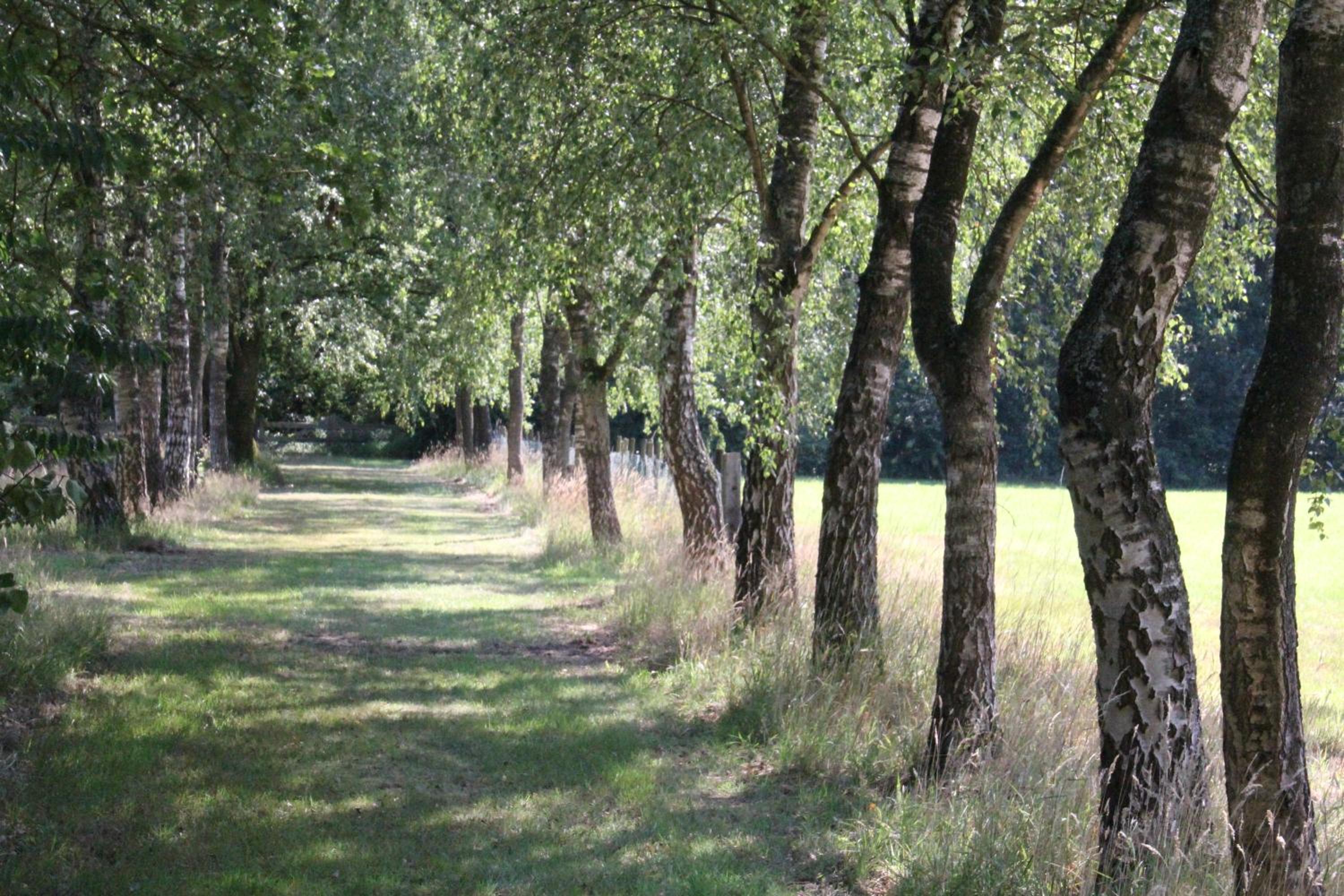 Photo 27