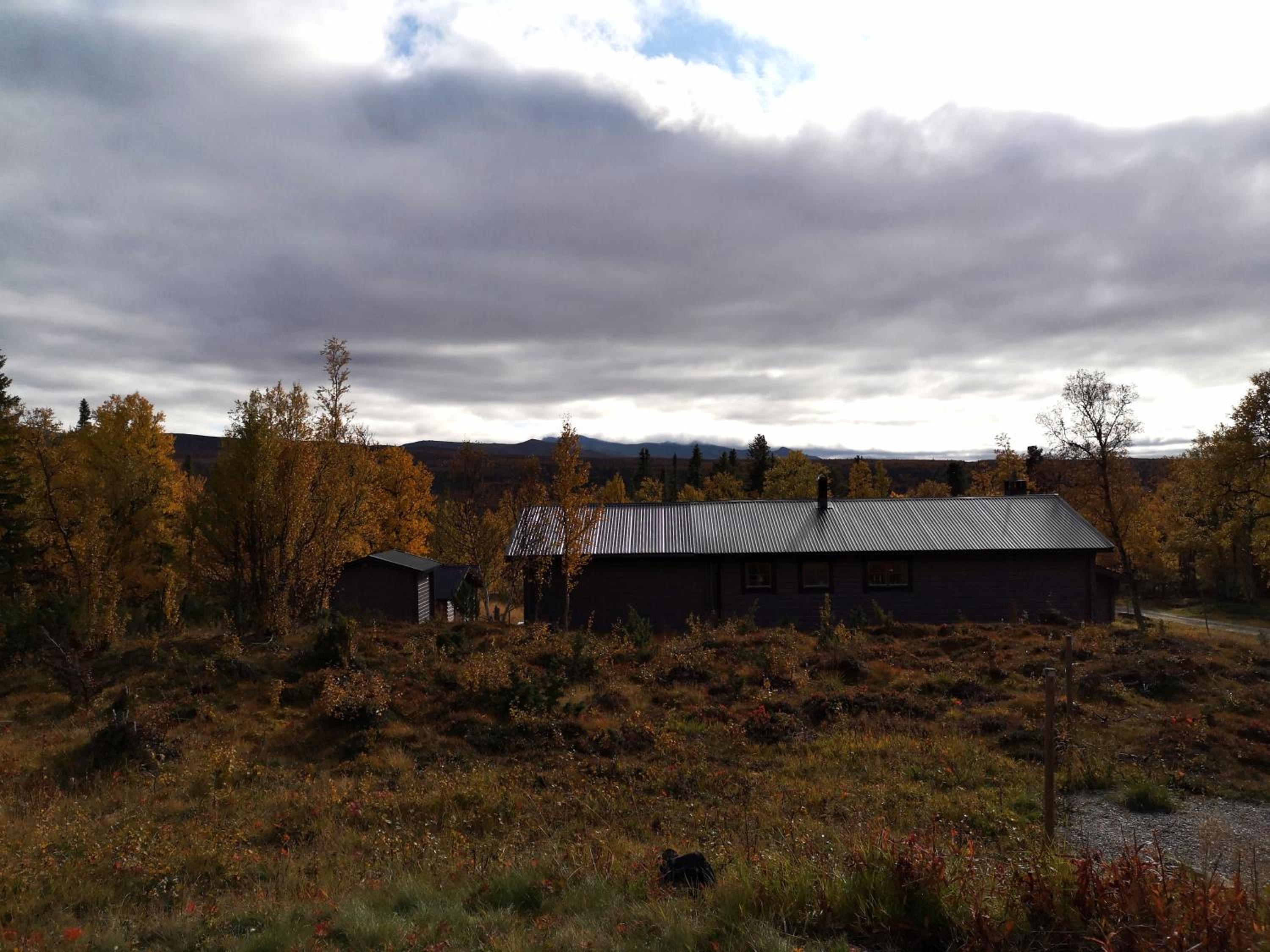 Photo 19