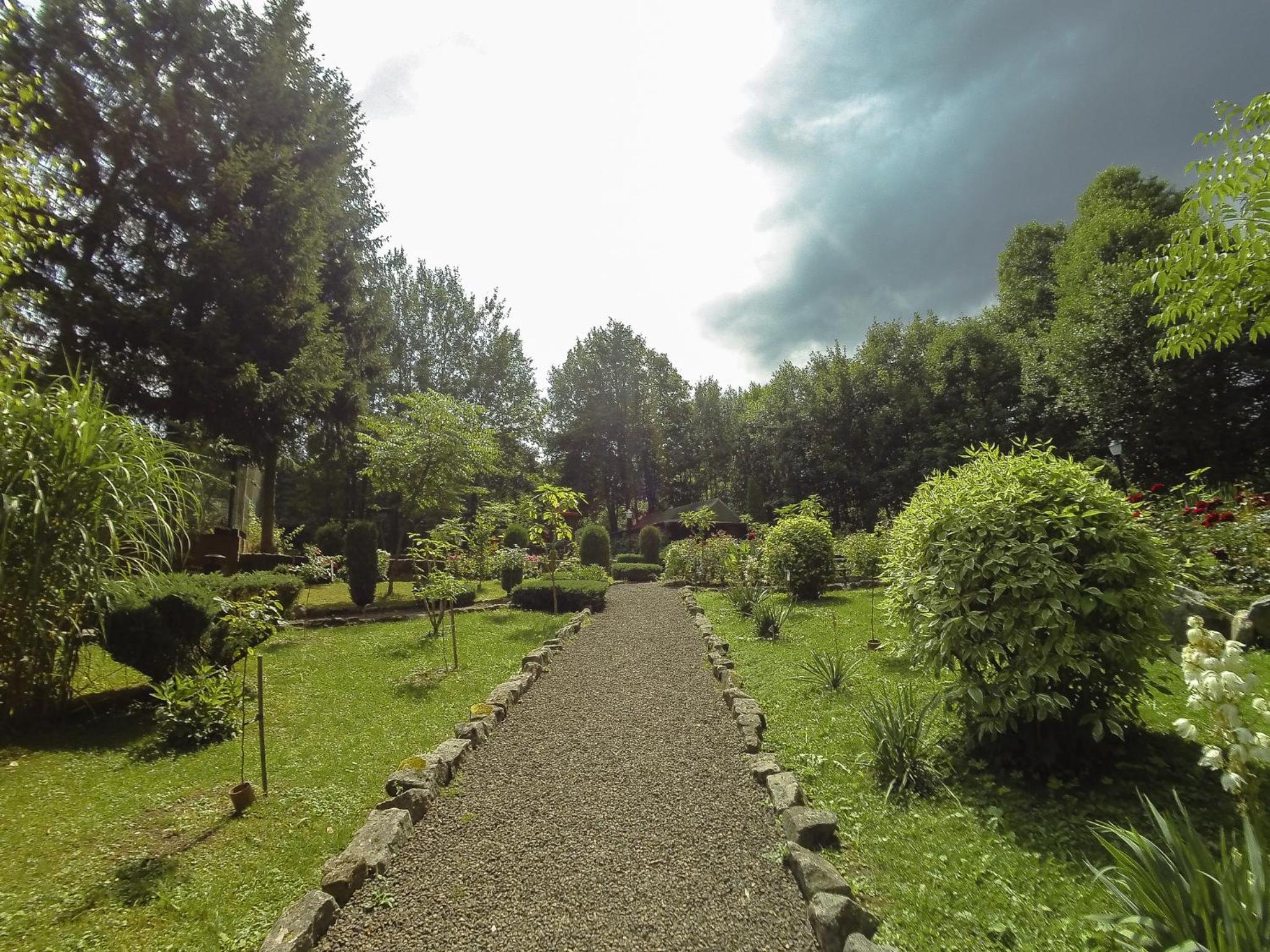 garden