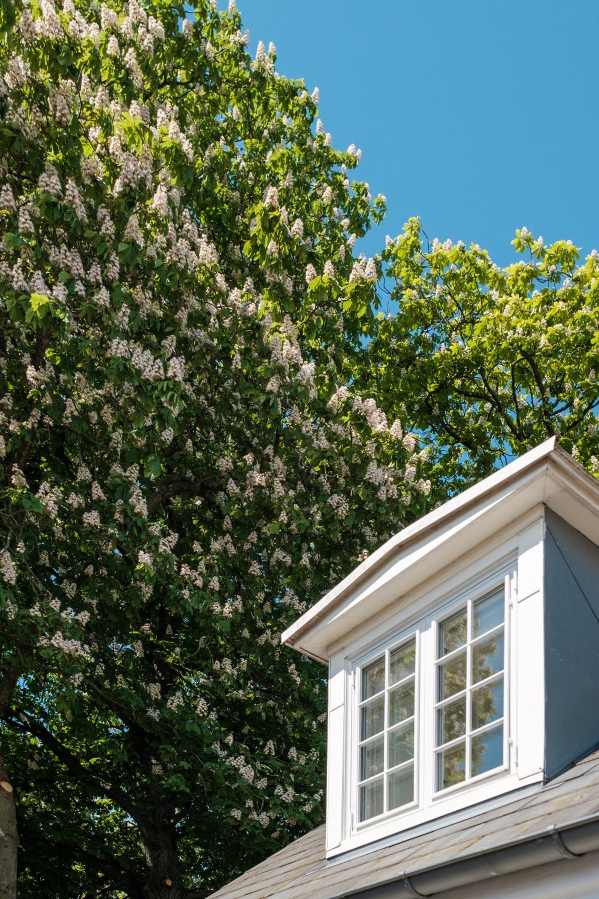 Odense Vacations - Hotel Knudsens Gaard - Property Image 29