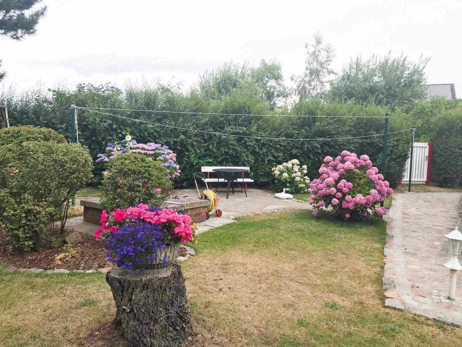 Finnhütte Freest