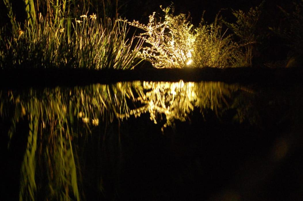 Photo 42