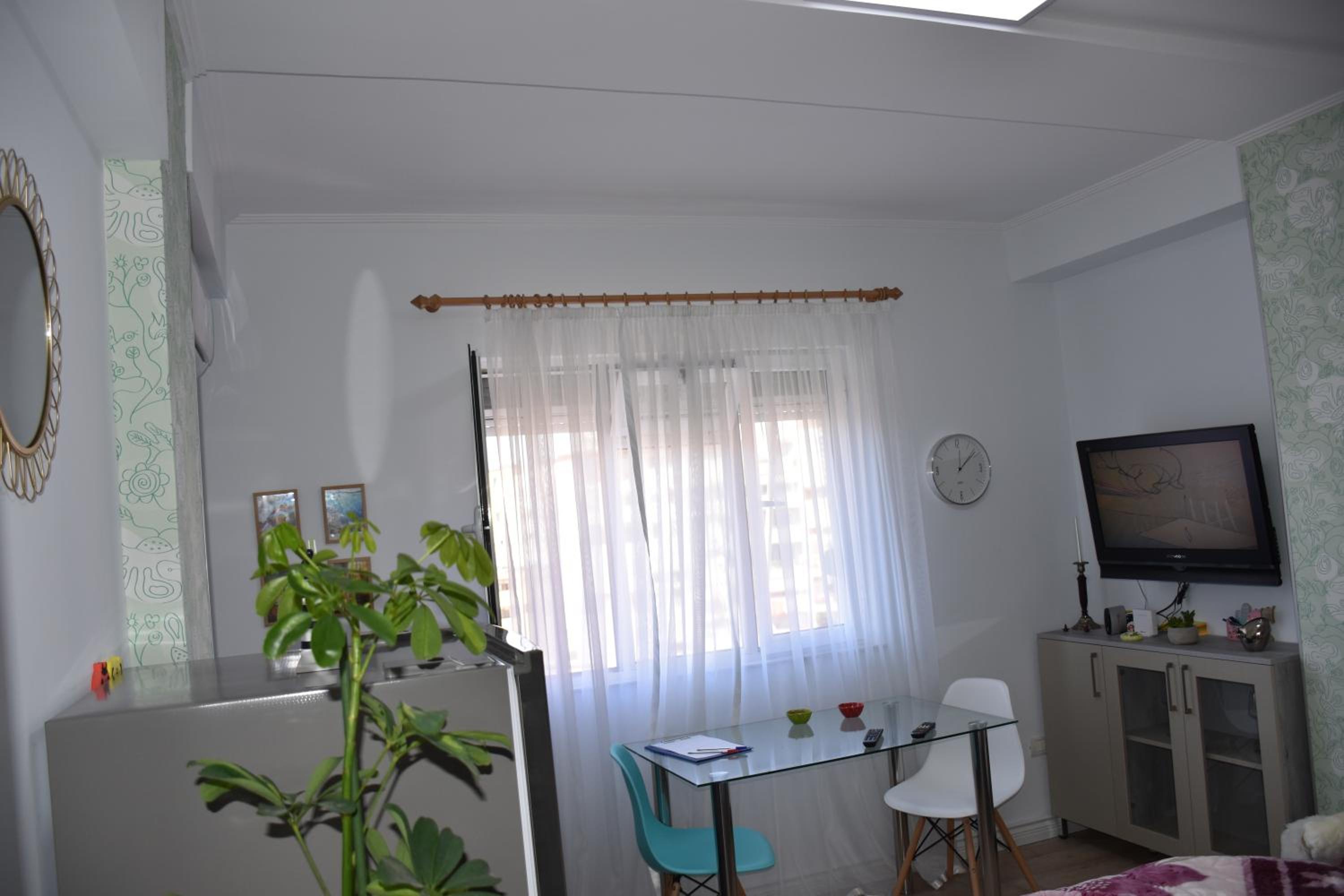 Absolute Cozy Studio