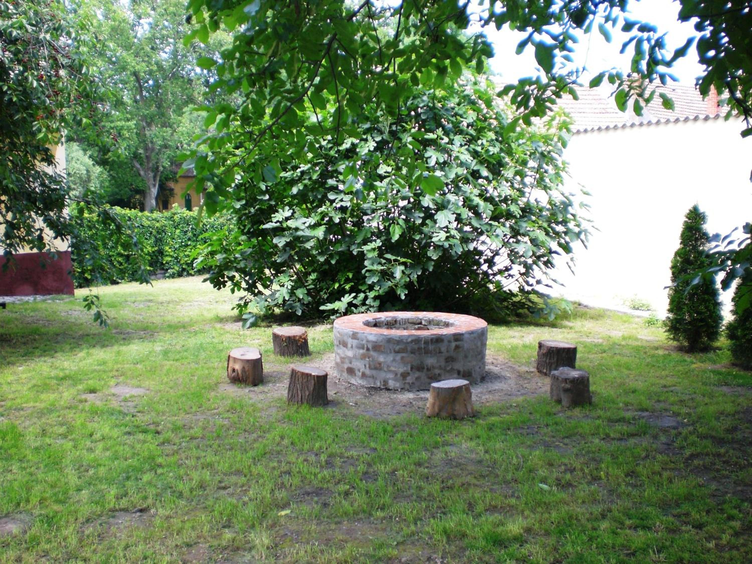 Photo 38
