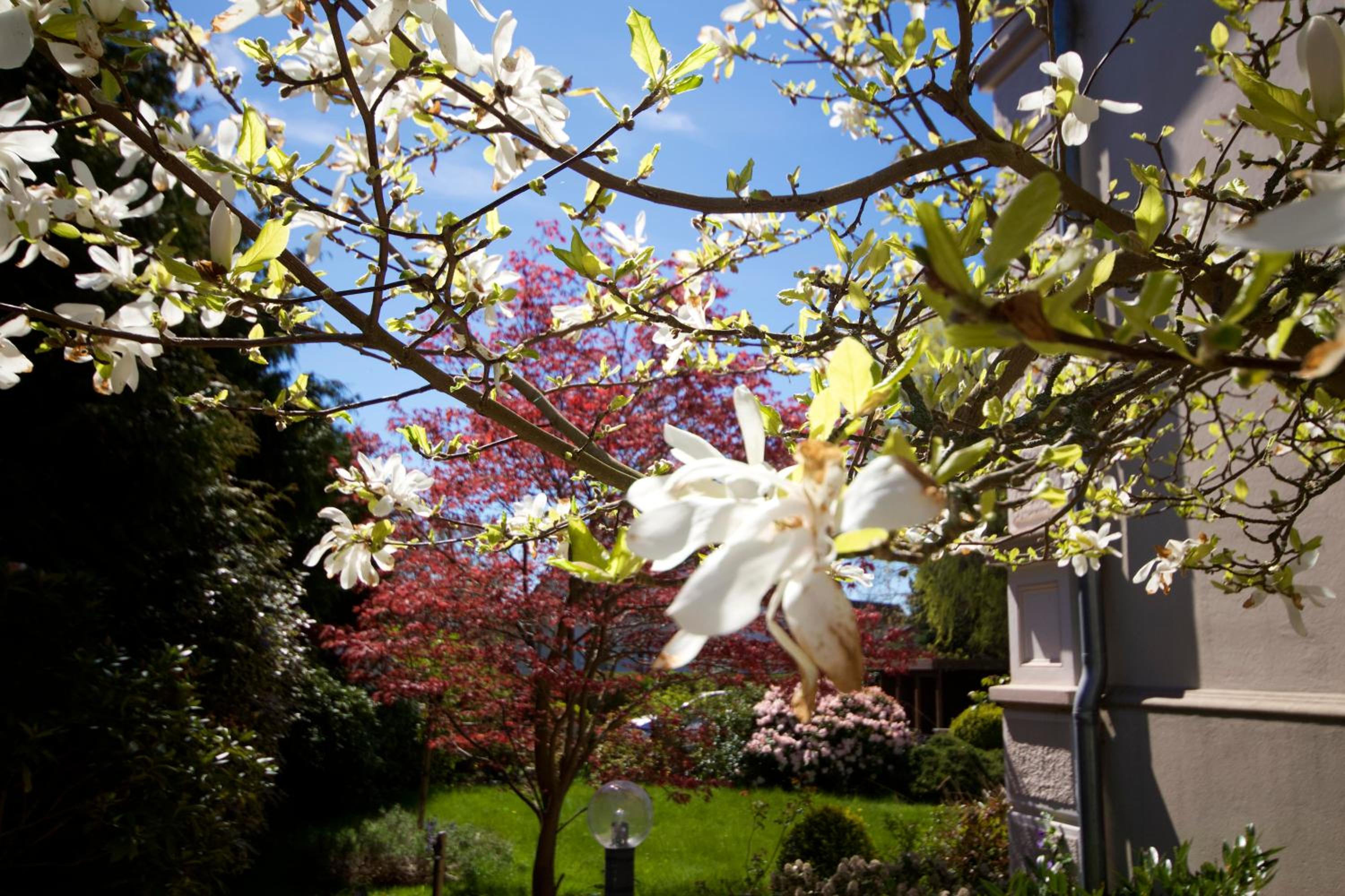 Villa Rosengarten, photo 33