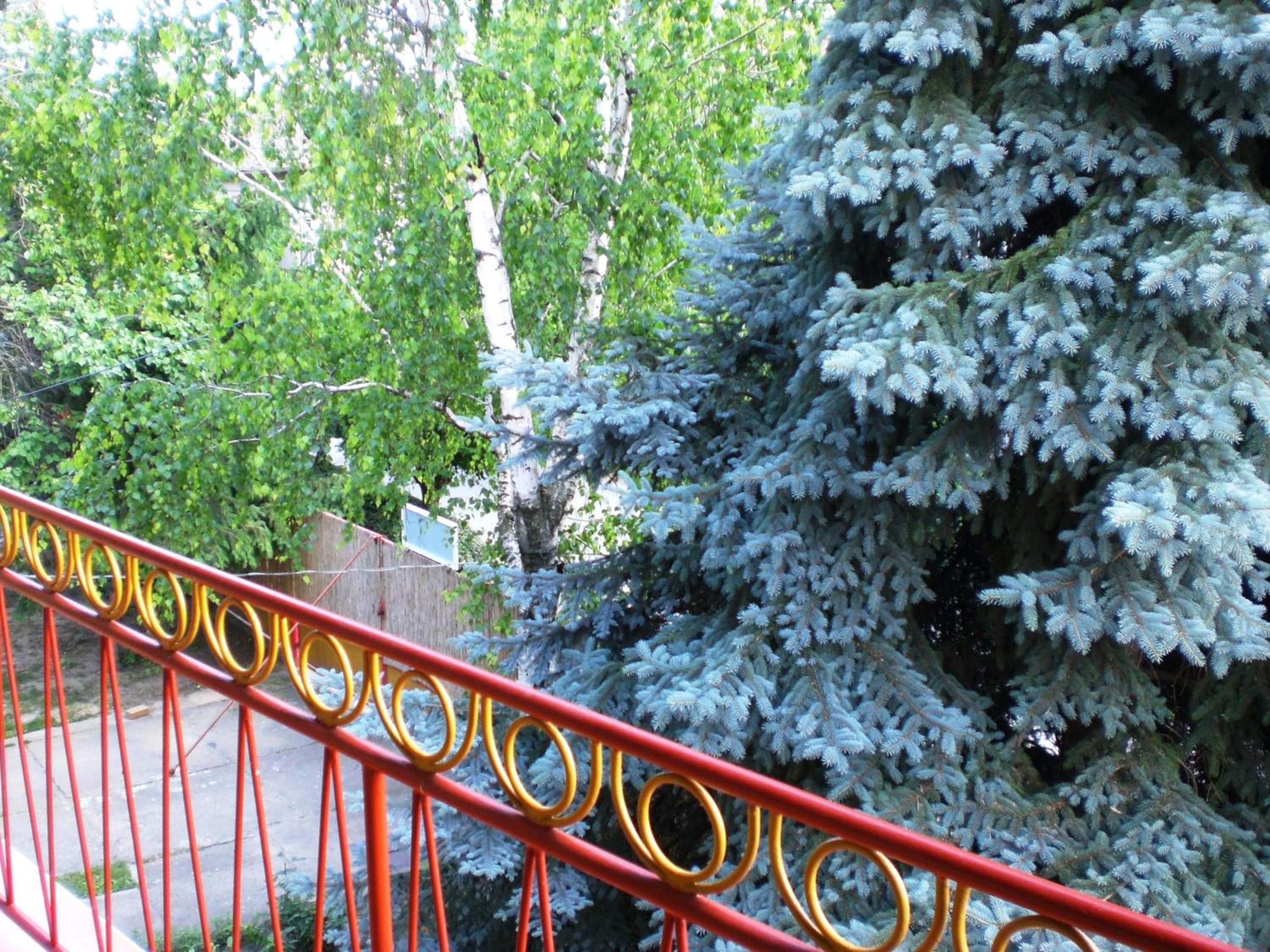 Photo 48