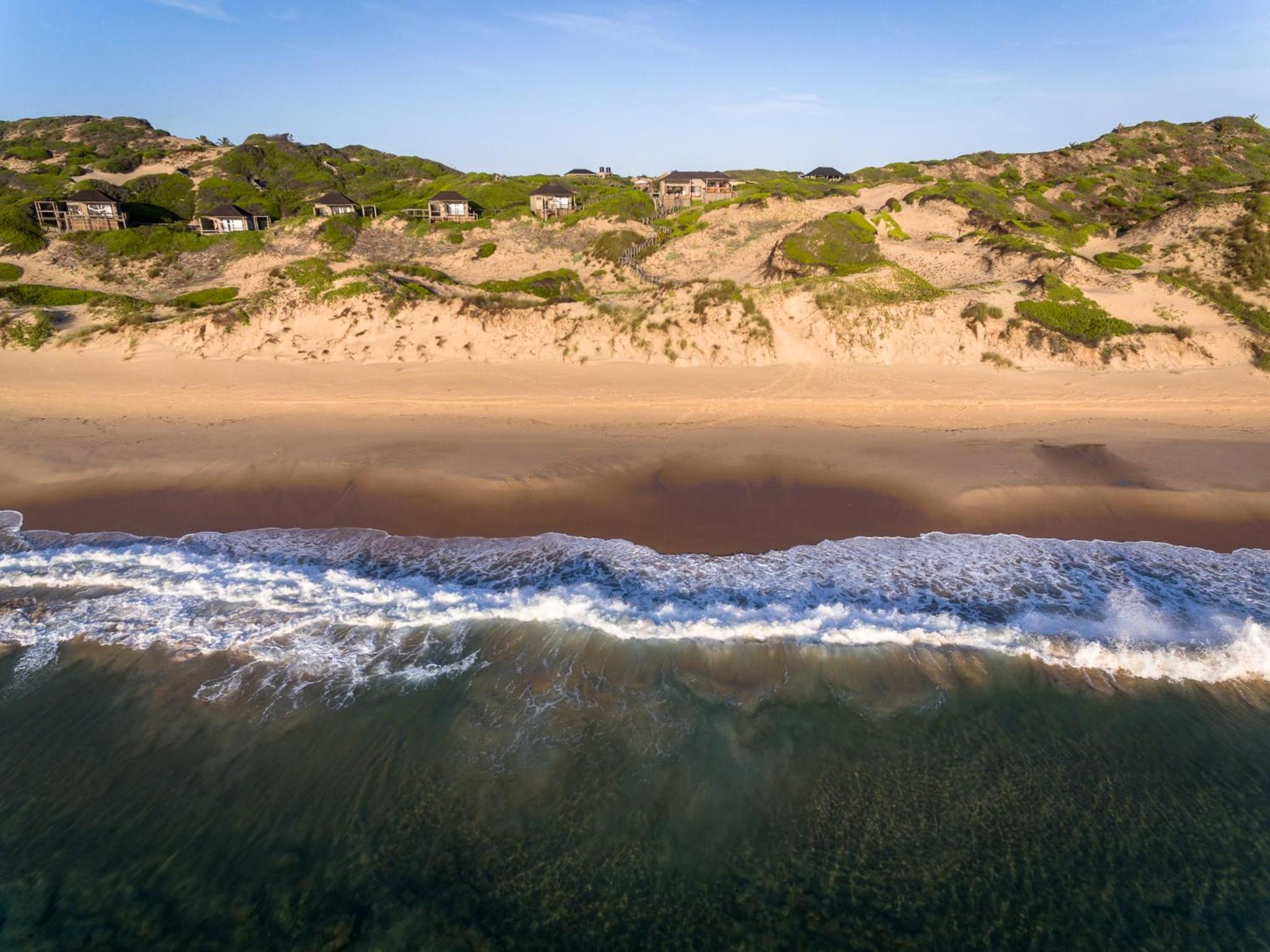 Sava Dunes