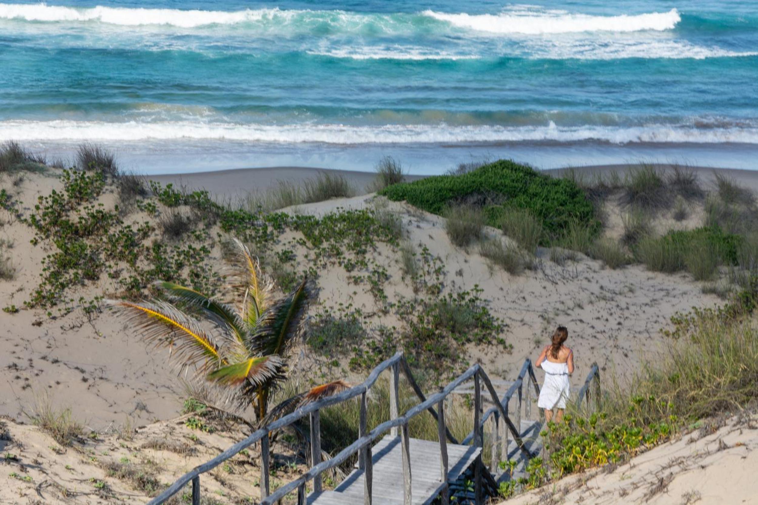 Sava Dunes