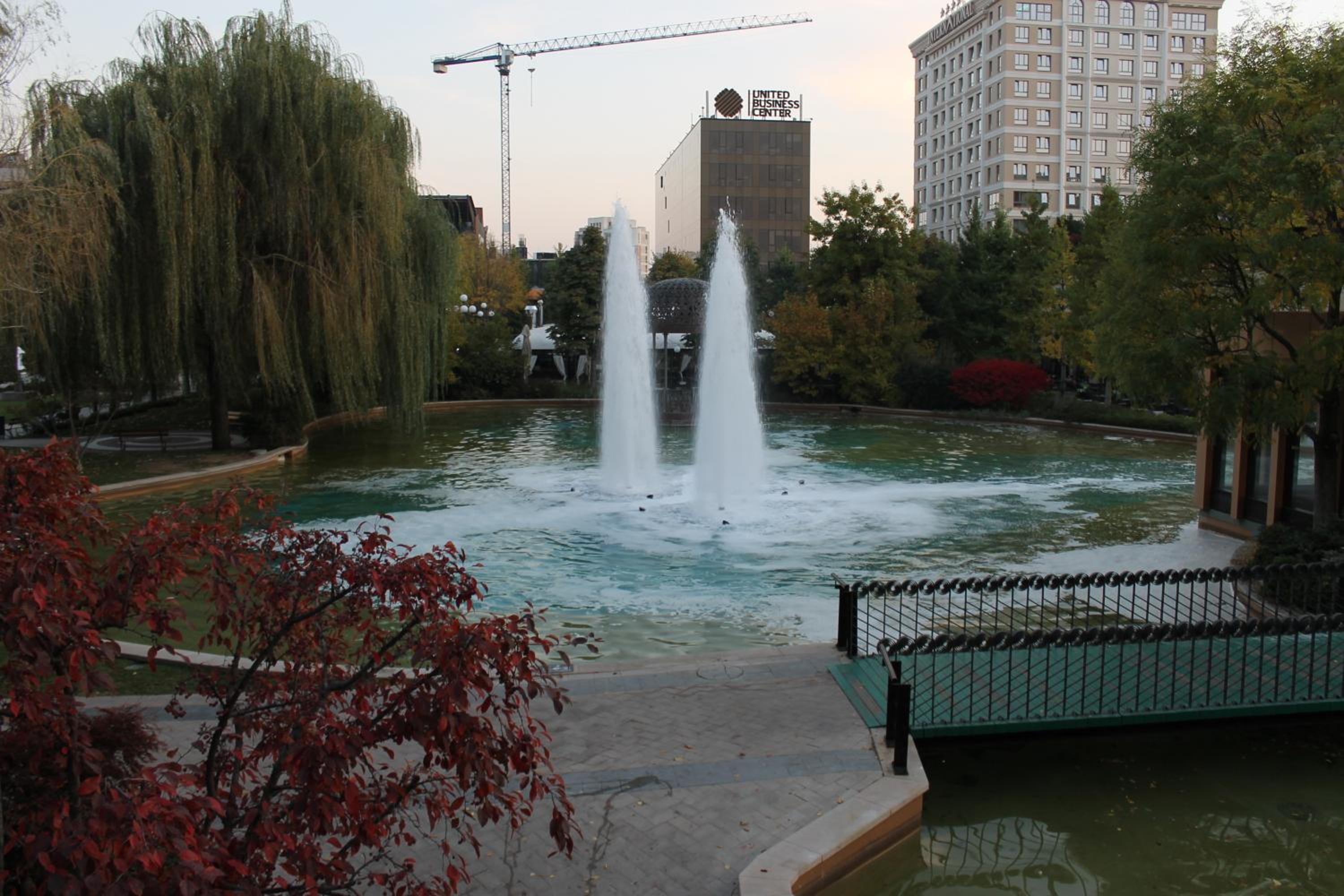 Photo 7