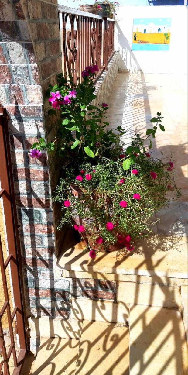 Habibi Nubian Guest House-Nubian Hospitality