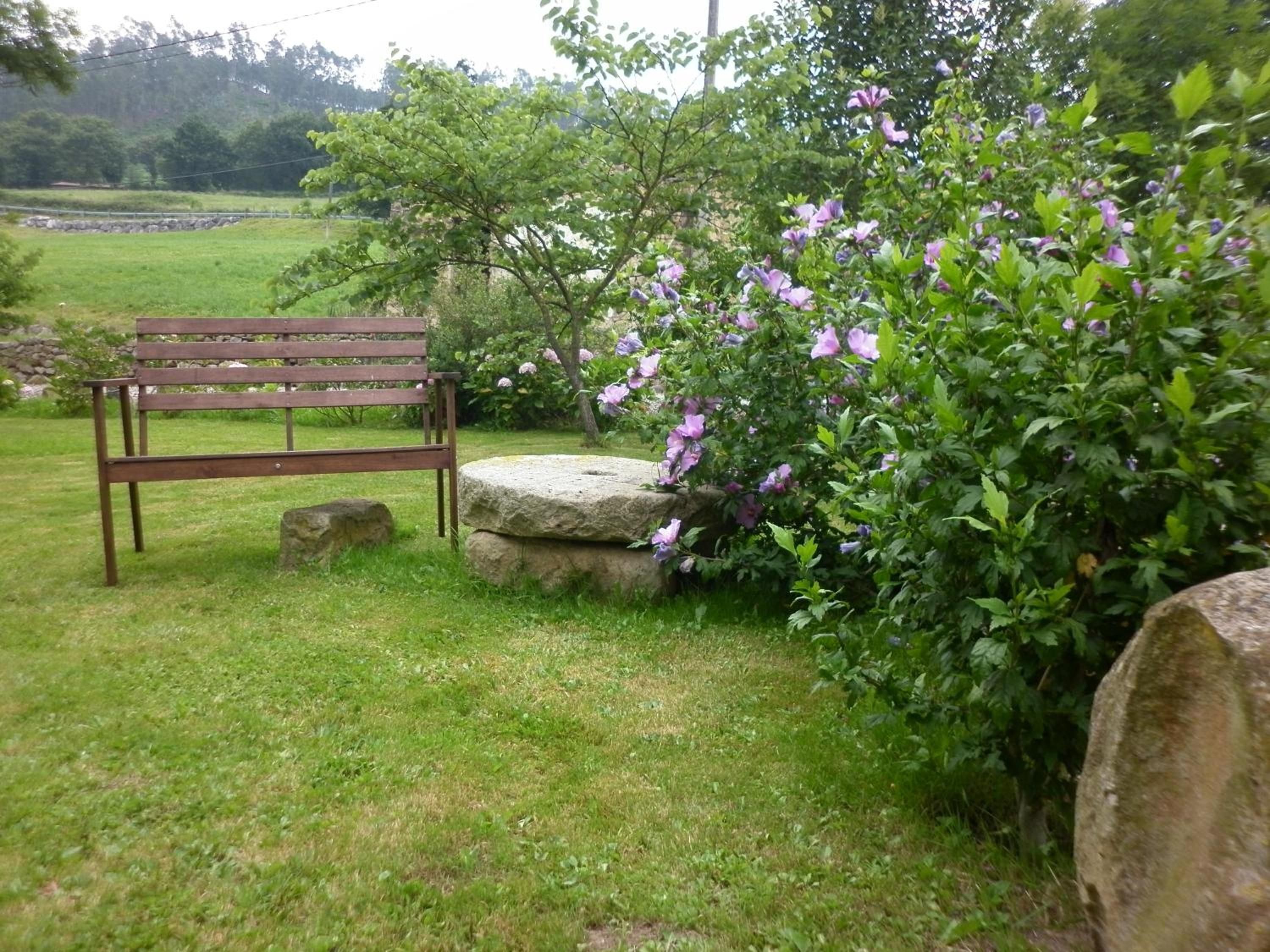 Photo 39