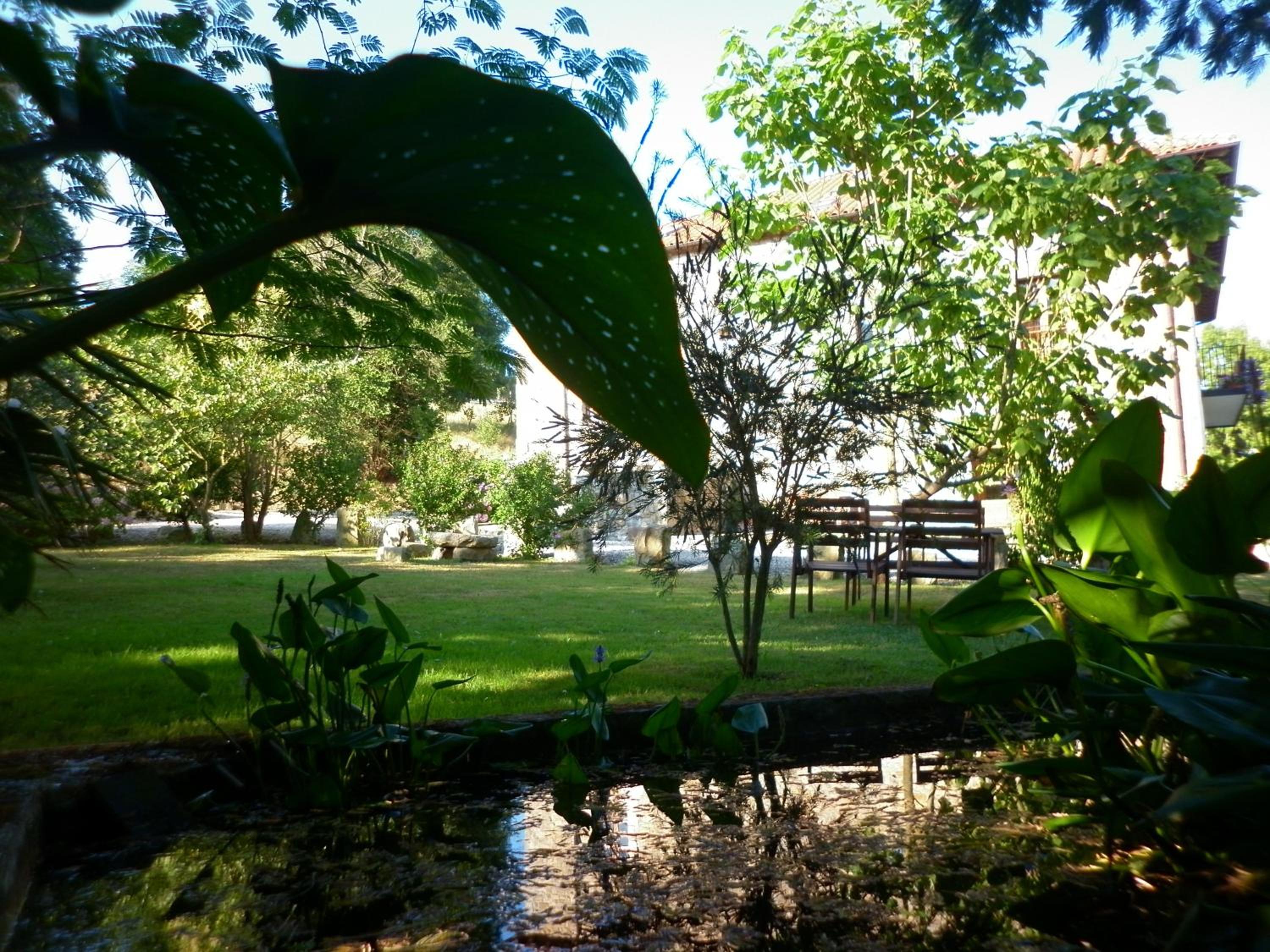Photo 40