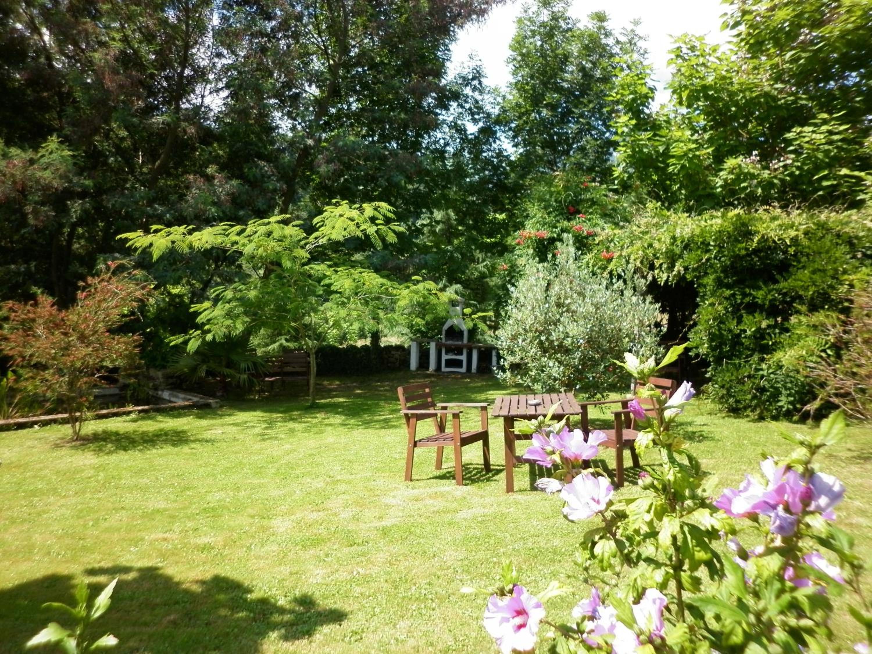 Photo 41