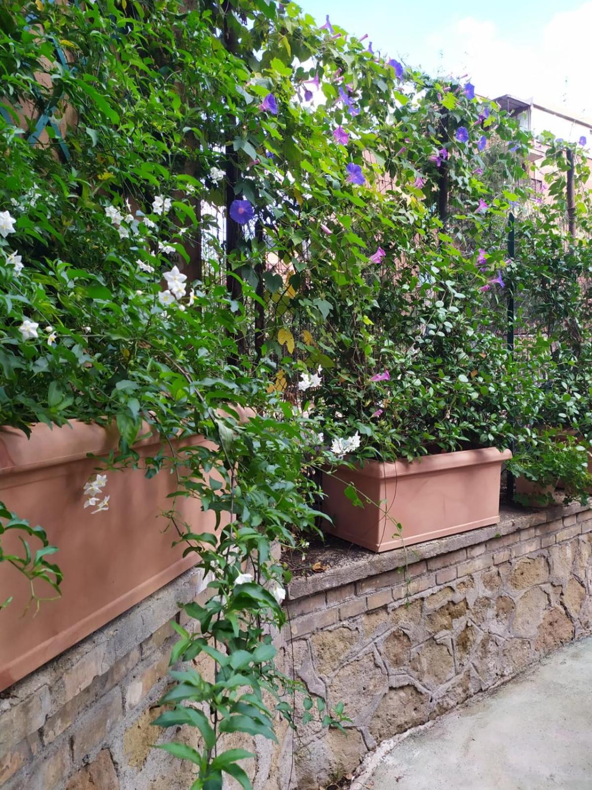 Angolo sul Giardino