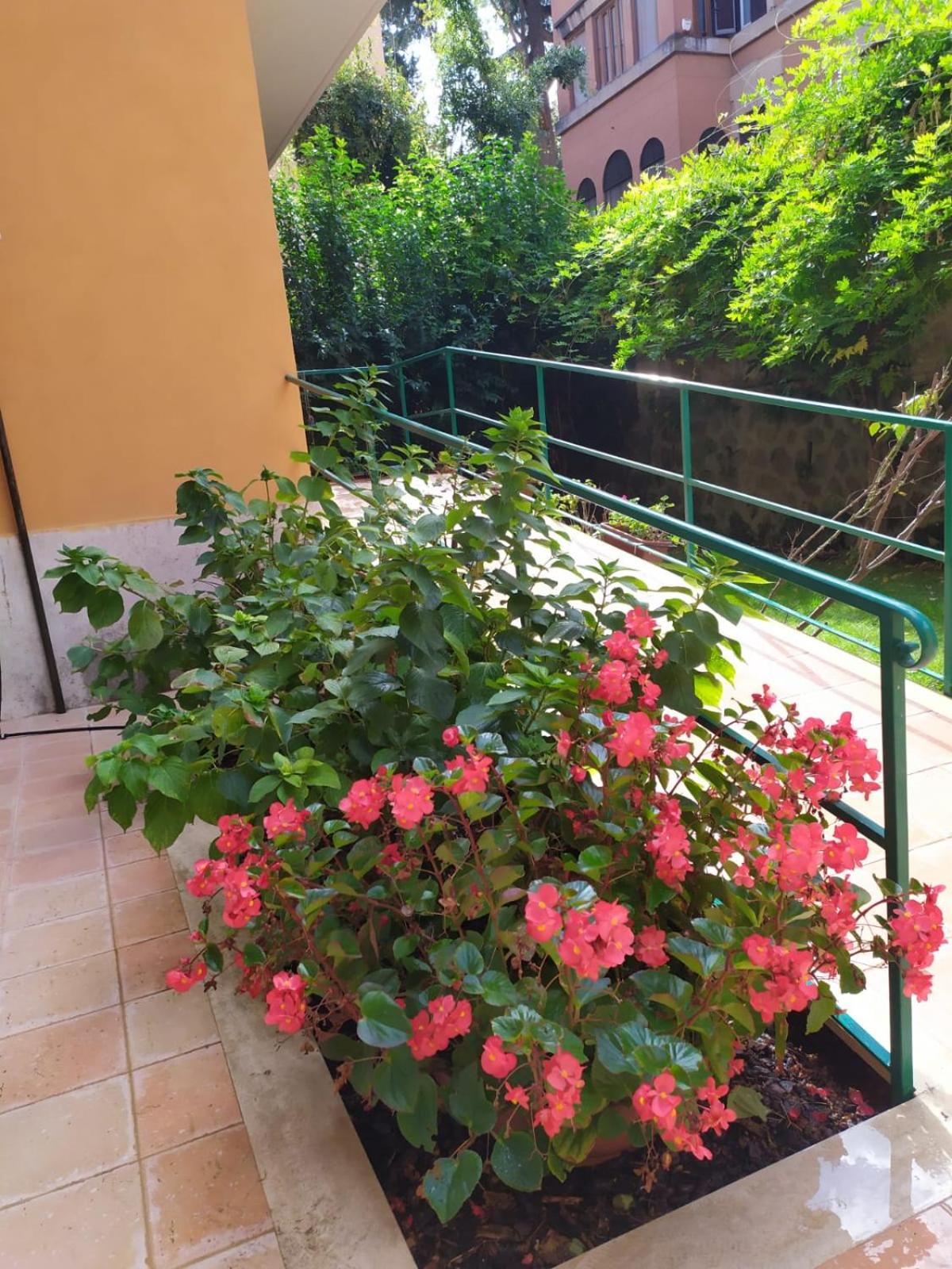 Angolo sul Giardino
